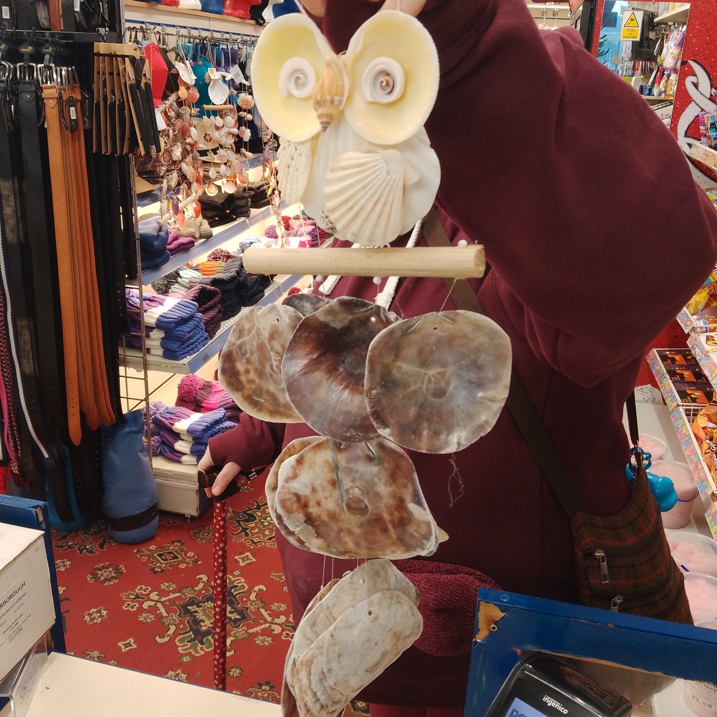 Large owl shell windchime