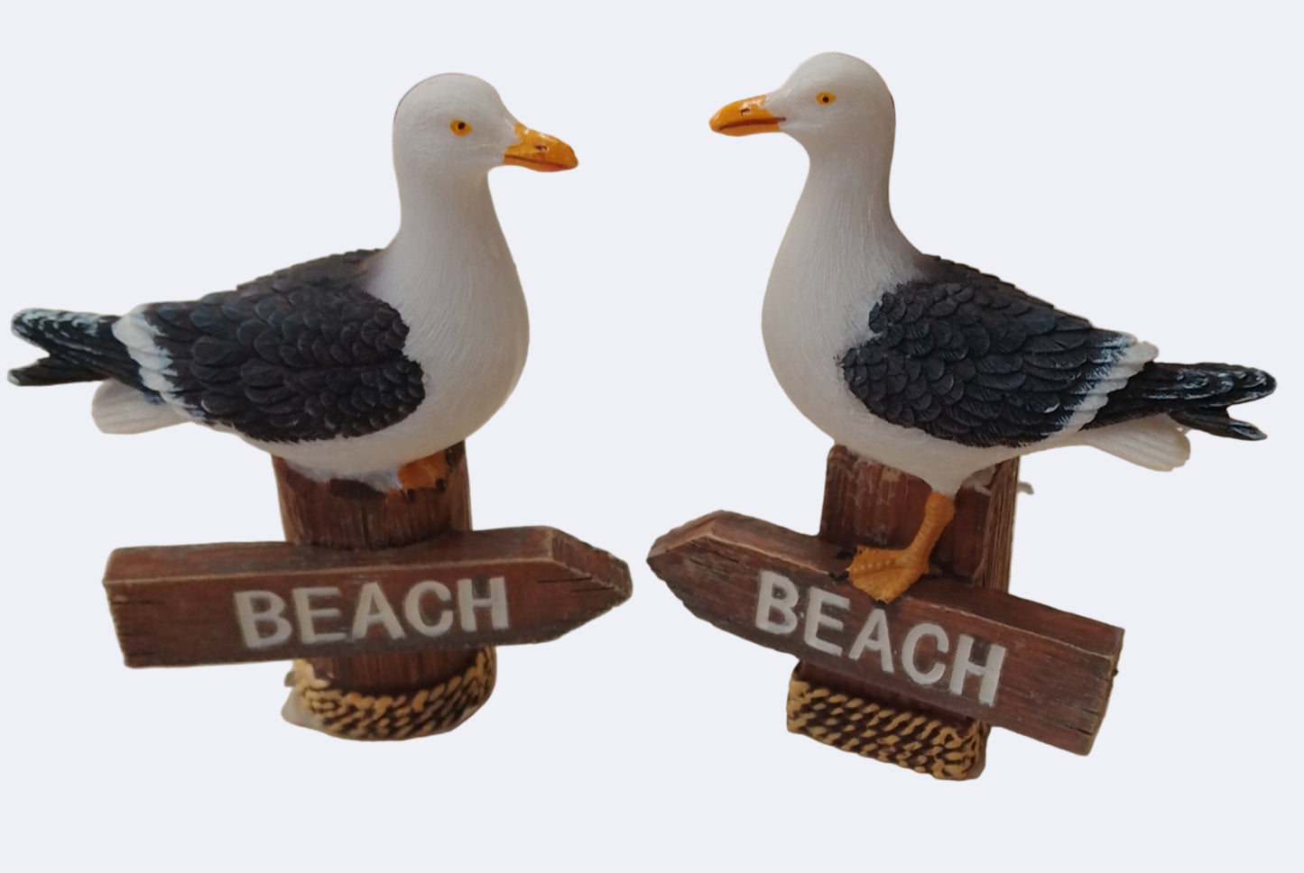 Seagull on beach sign
