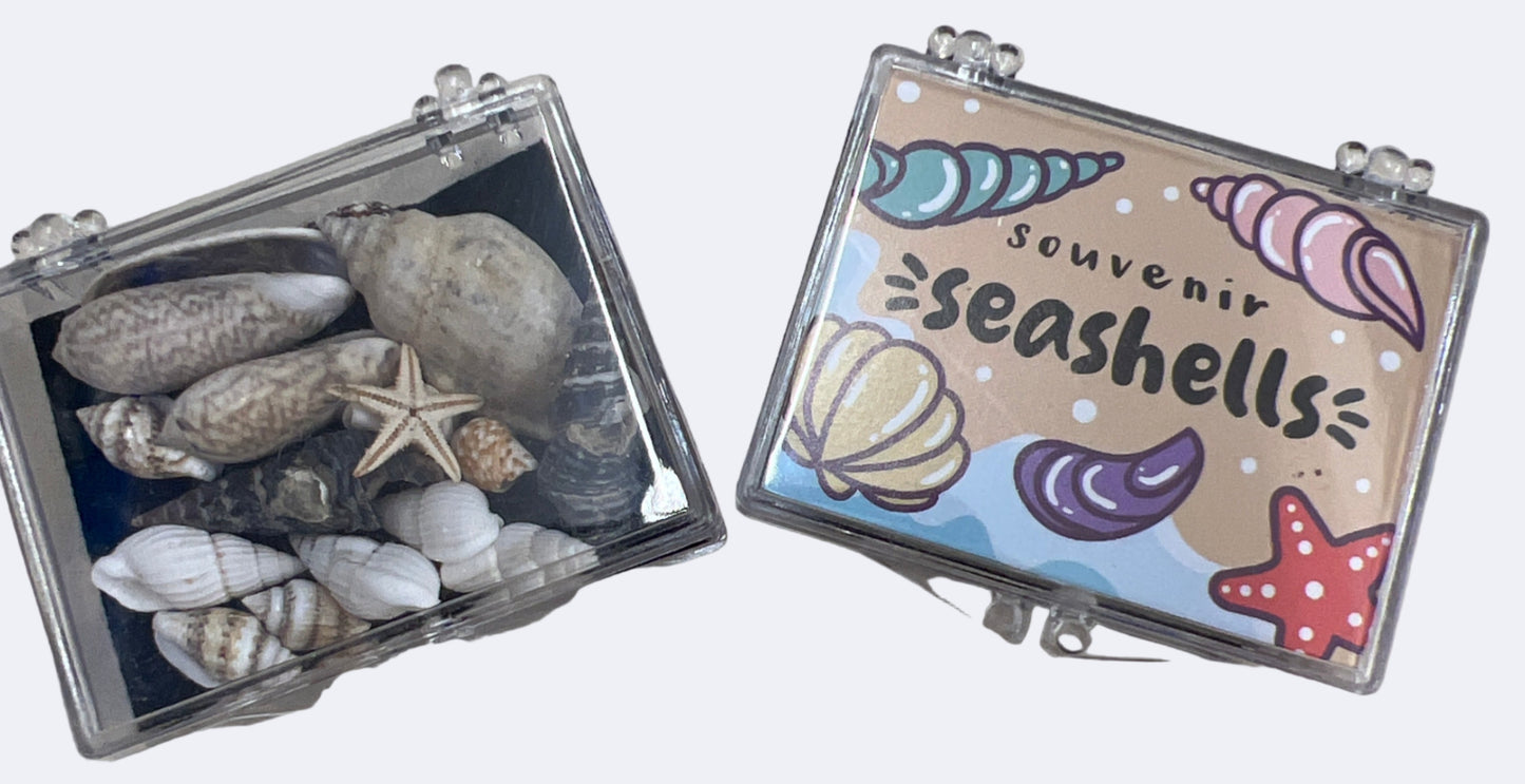 A small decorative box containing seashells and small stones, with a label on the front that reads 'Seashell Treasures'.