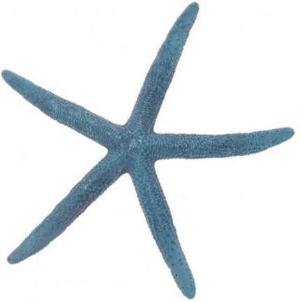 A blue pointer starfish with a smooth texture and five arms, against a white background.
