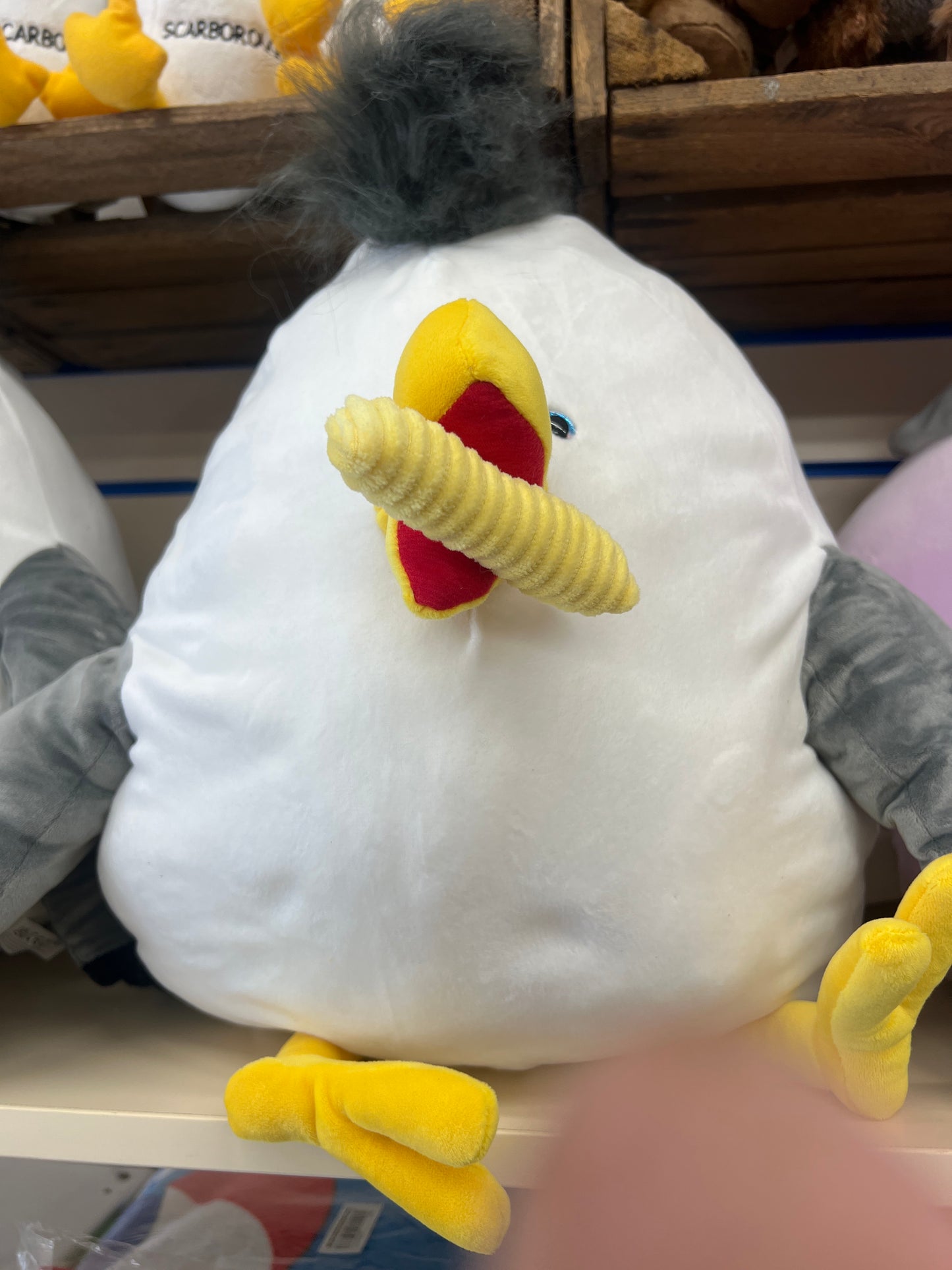 Seagull Chick with Chip Medium