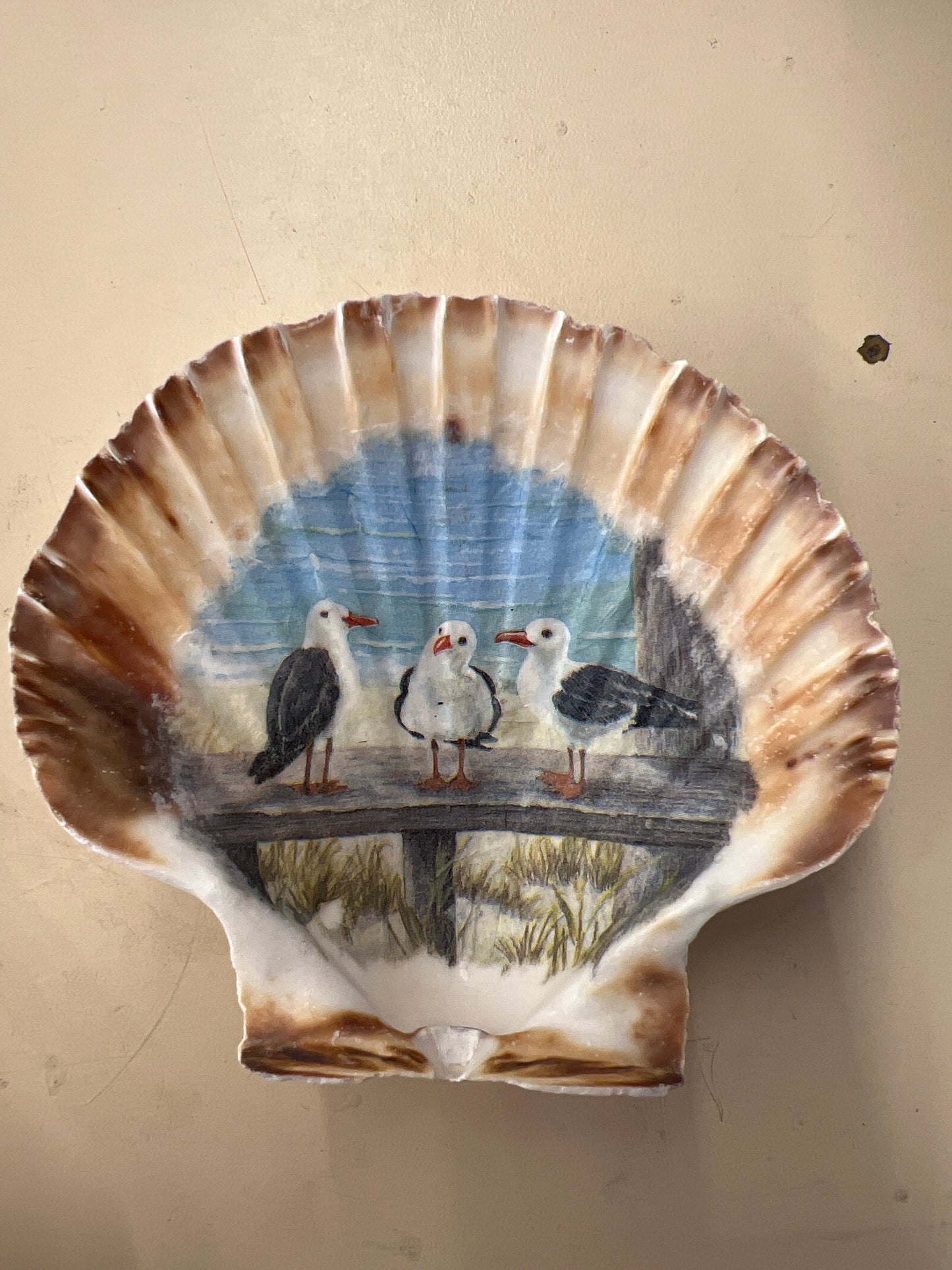 Shell Trinket Dish