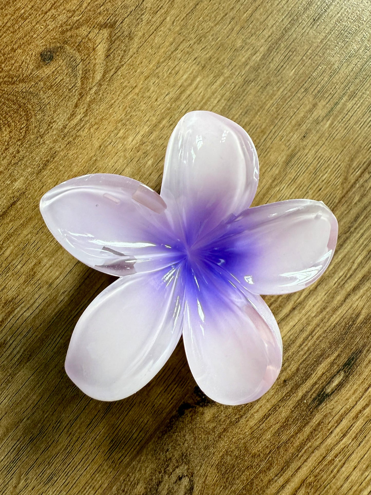 Hibiscus Claw Hair Clip