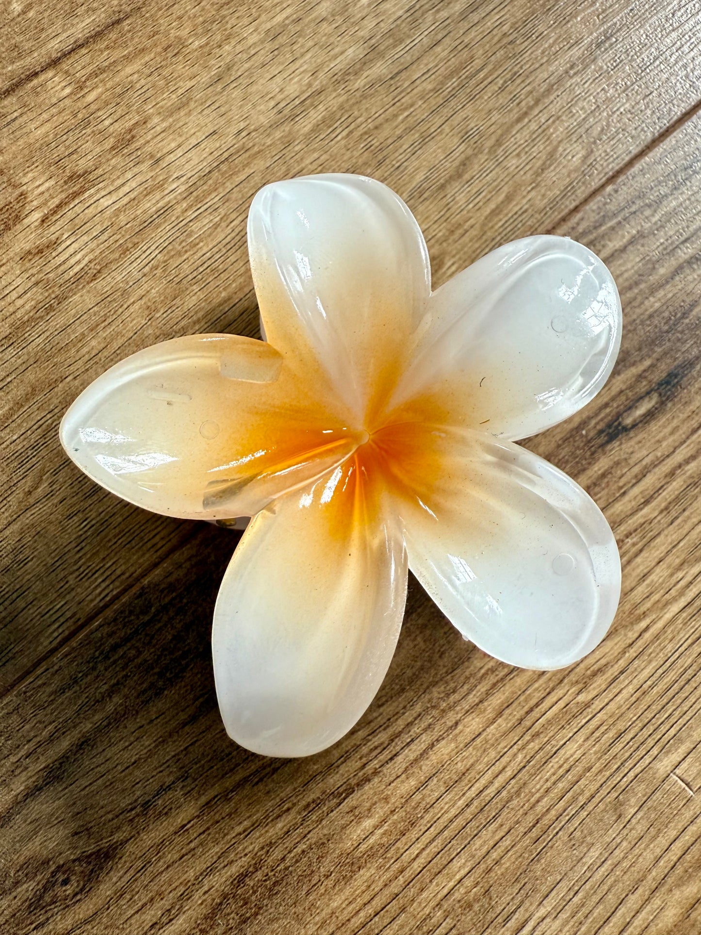 Hibiscus Claw Hair Clip