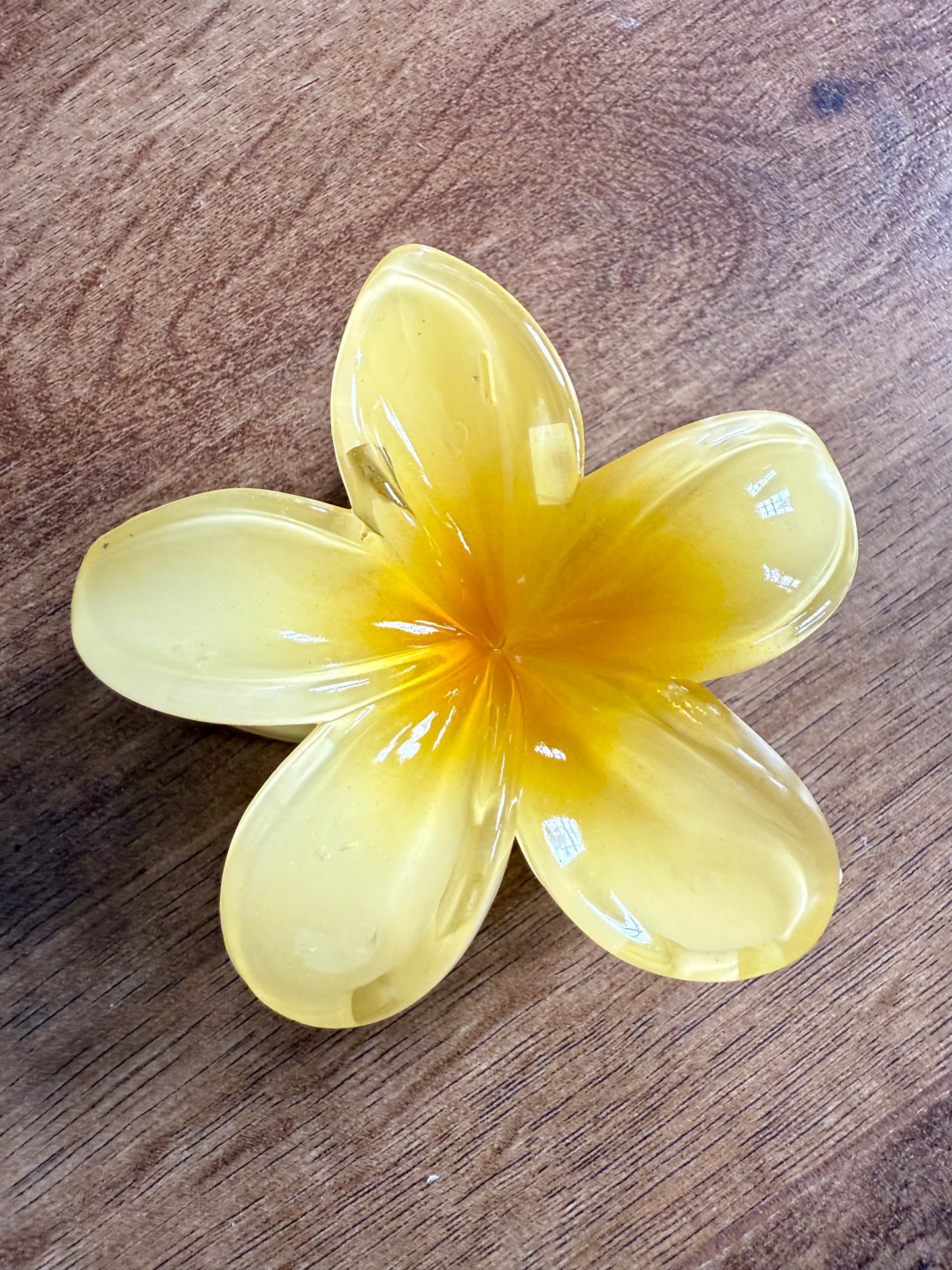 Hibiscus Claw Hair Clip