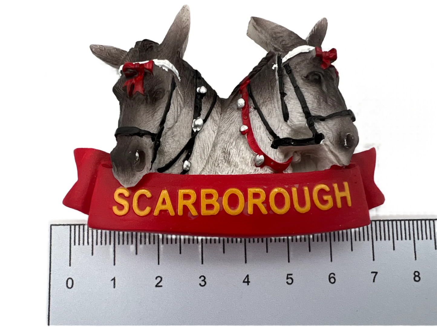 Donkey Magnet - Scarborough