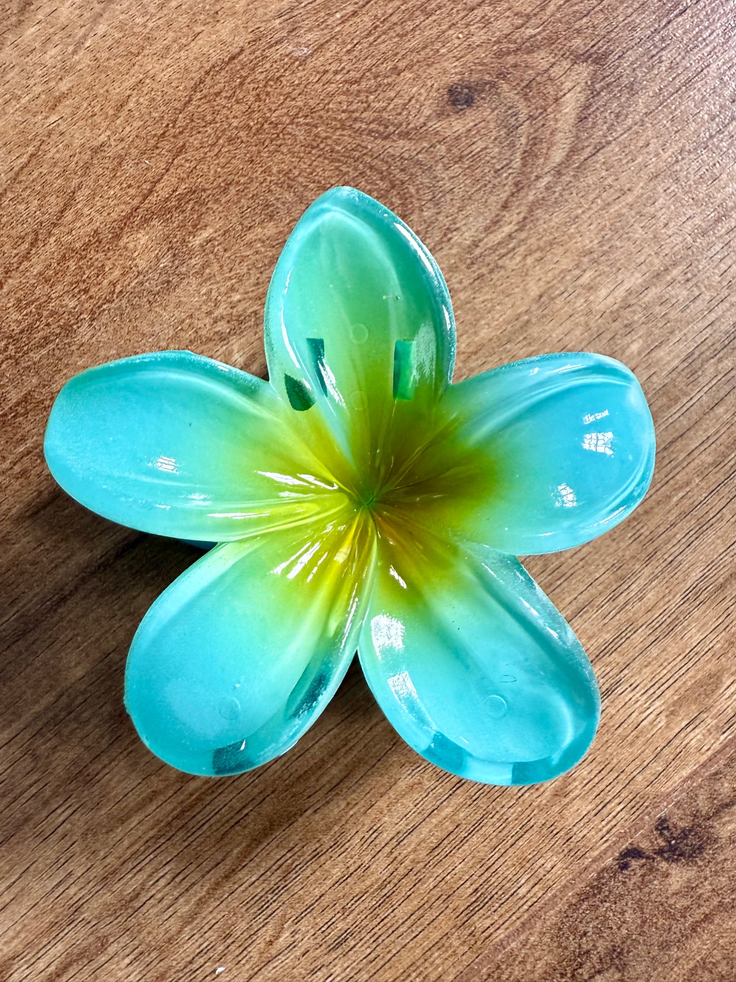 Hibiscus Claw Hair Clip