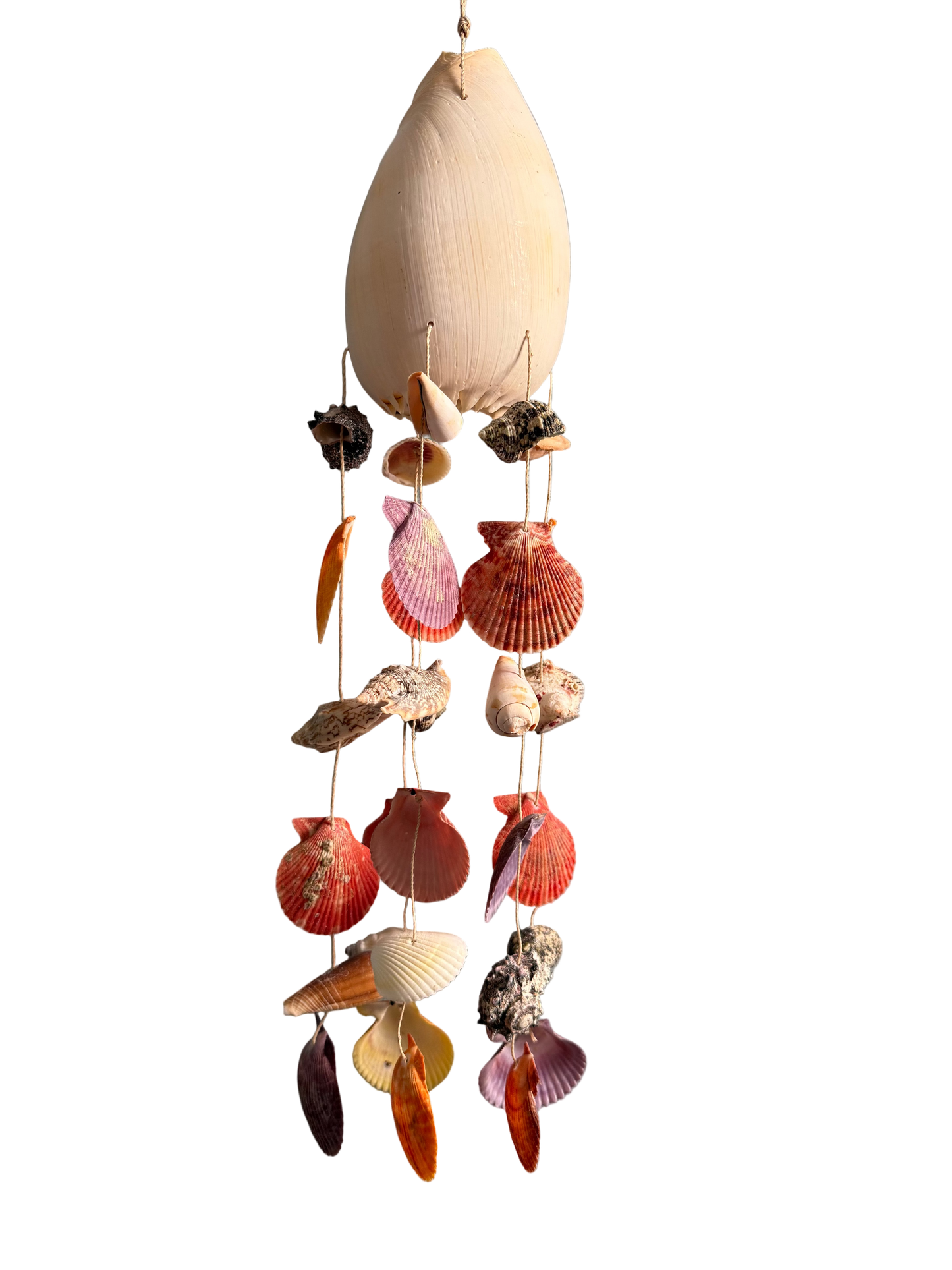Melo Shell Wind Chime