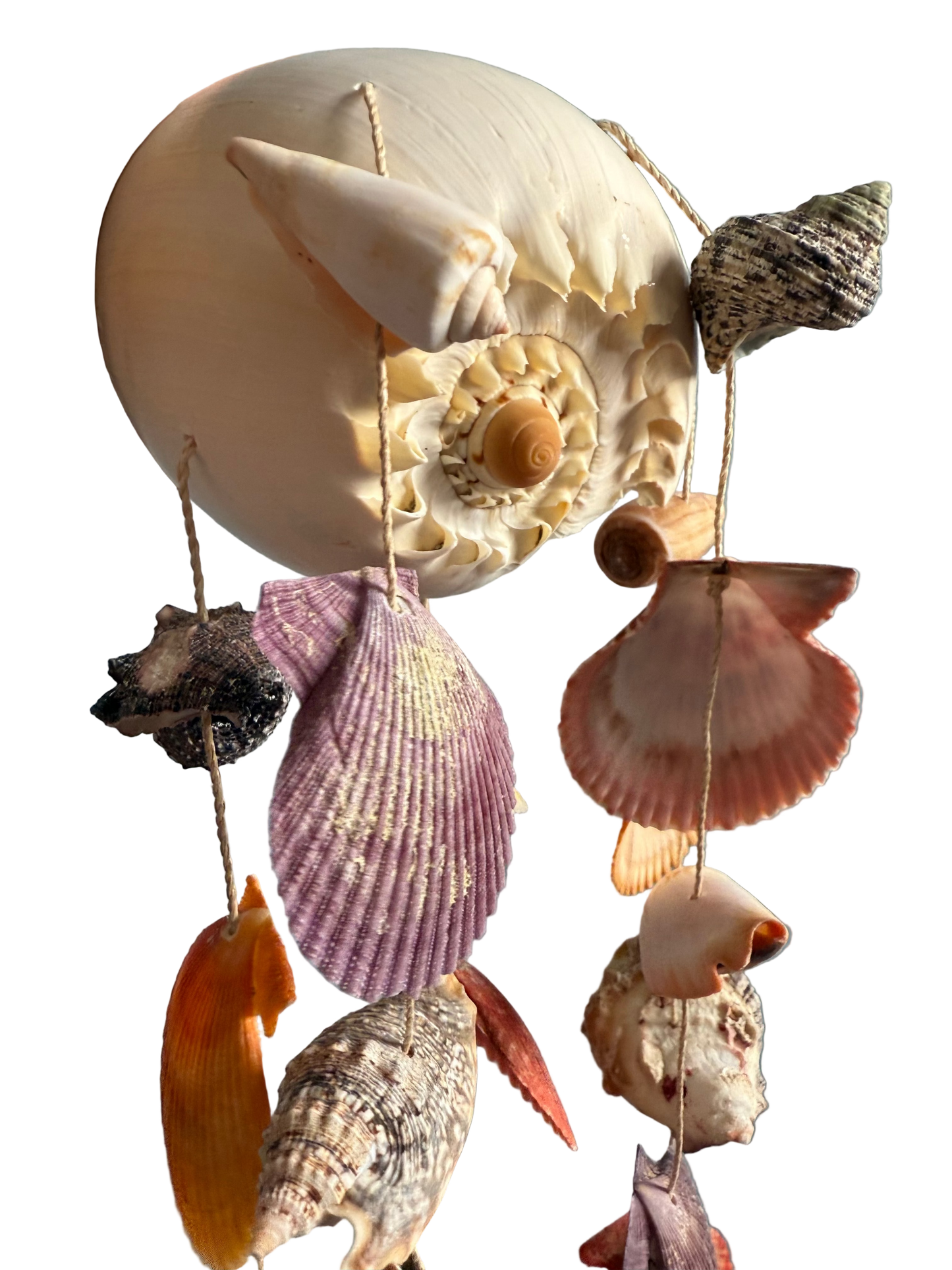 Melo Shell Wind Chime