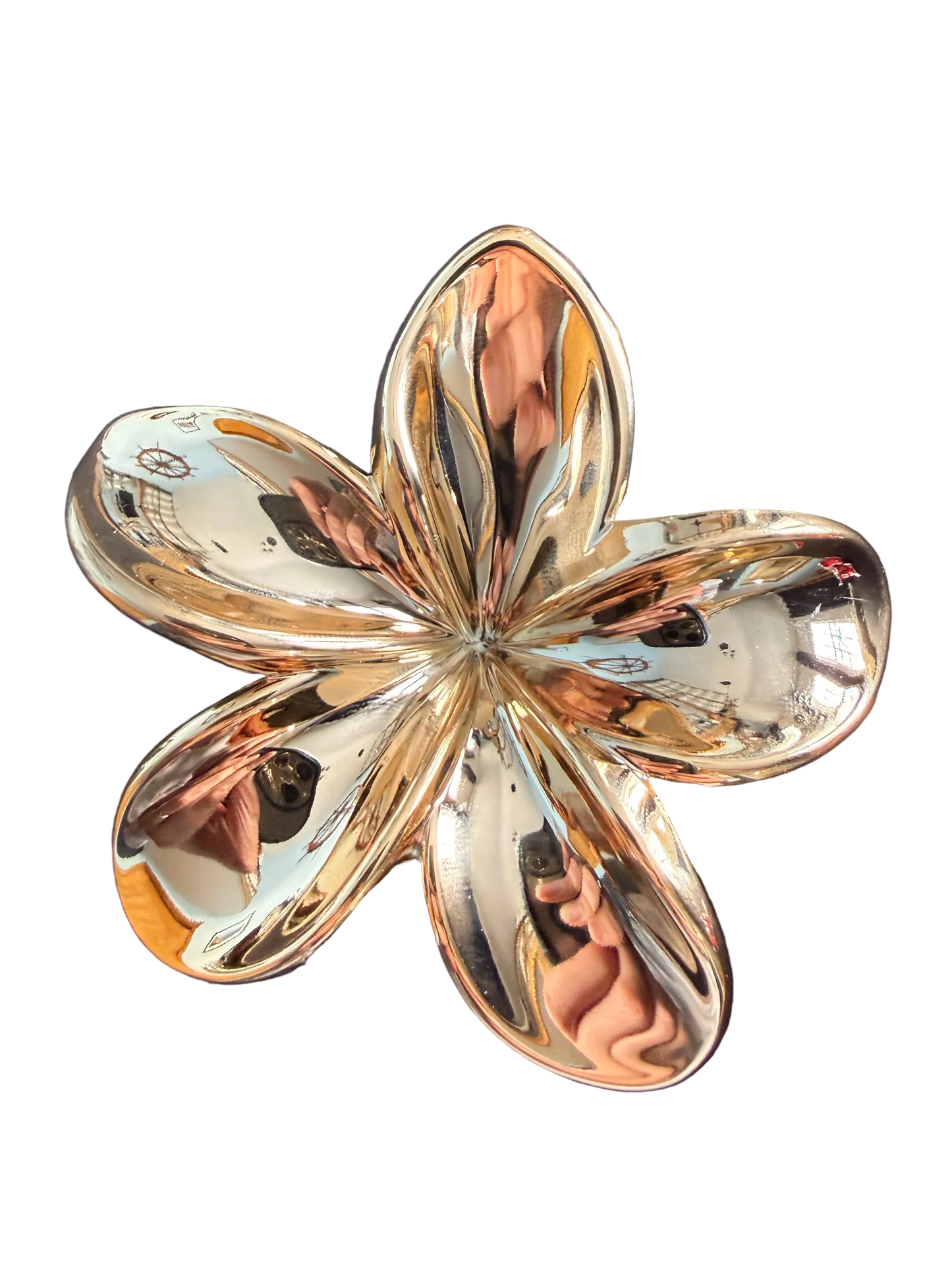 Hibiscus Claw Hair Clip 2026