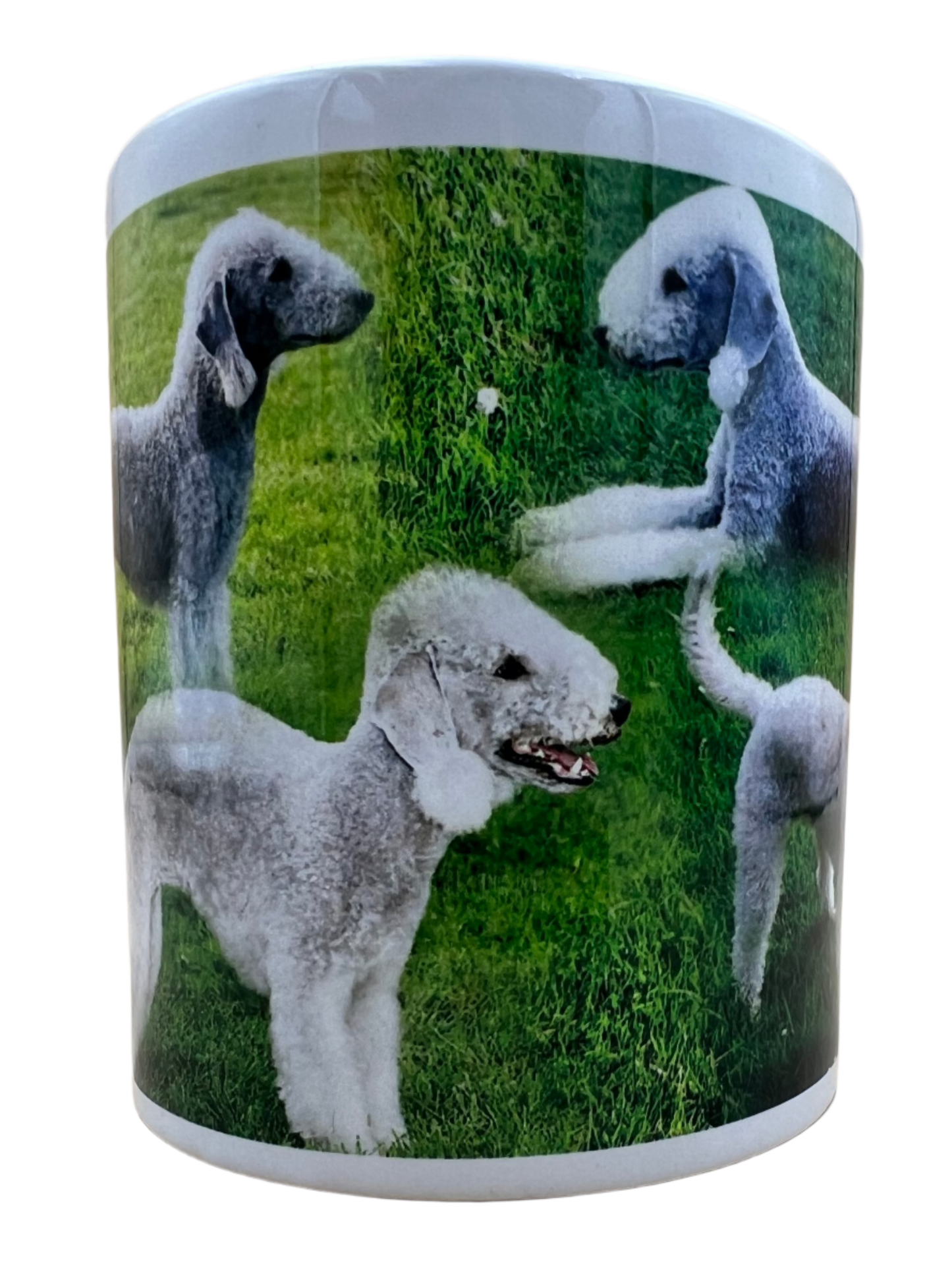 Dog Mug - Bedlington Terrier