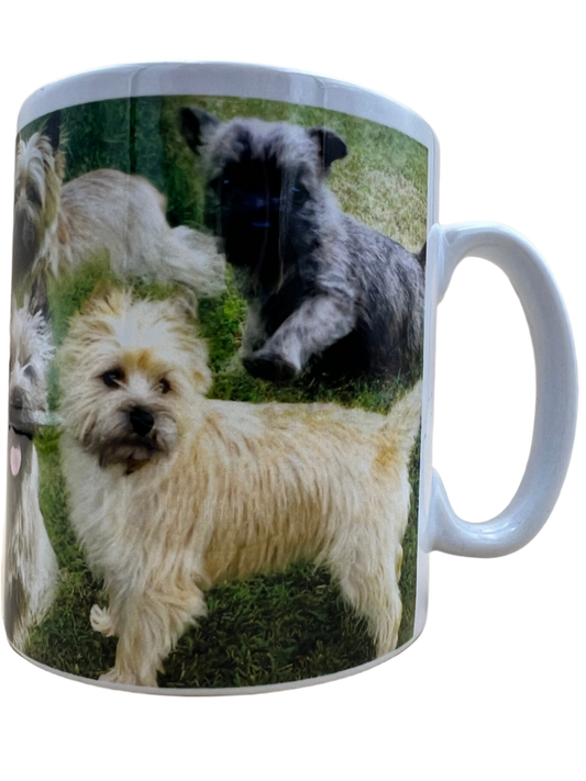 Dog Mug - Cairn Terrier