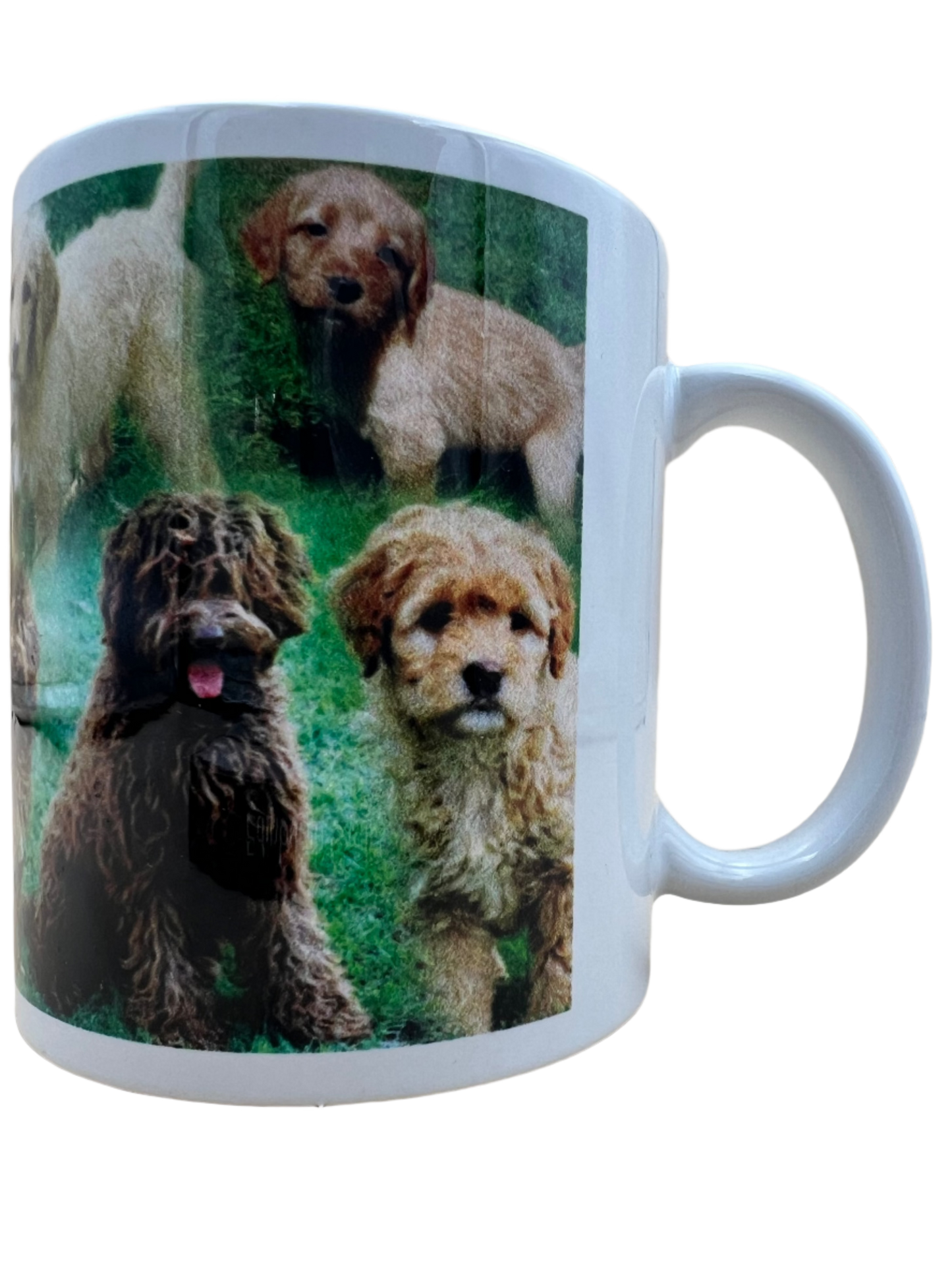 Dog Mug - Labradoodle