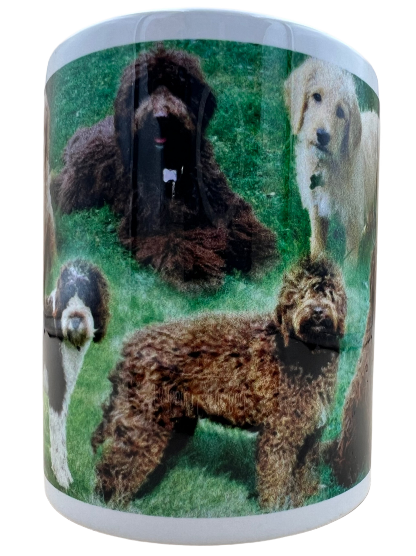 Dog Mug - Labradoodle