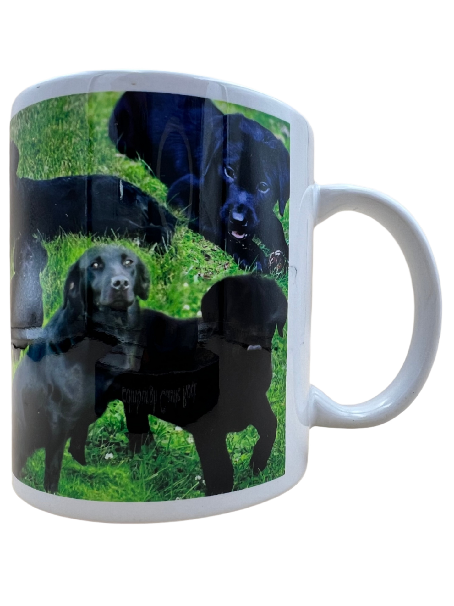 Dog Mug - Black Labrador