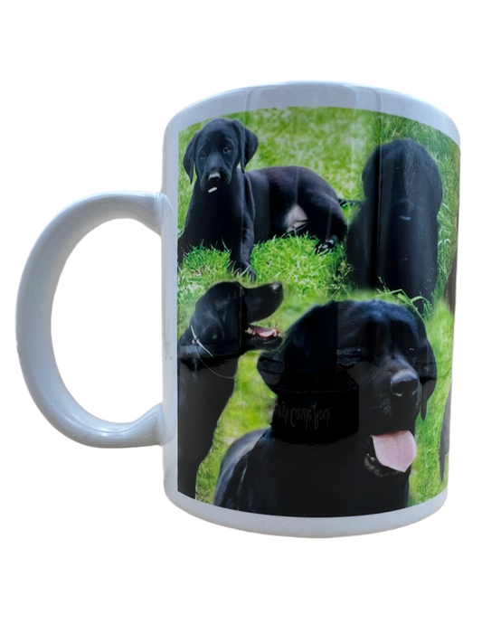 Dog Mug - Black Labrador