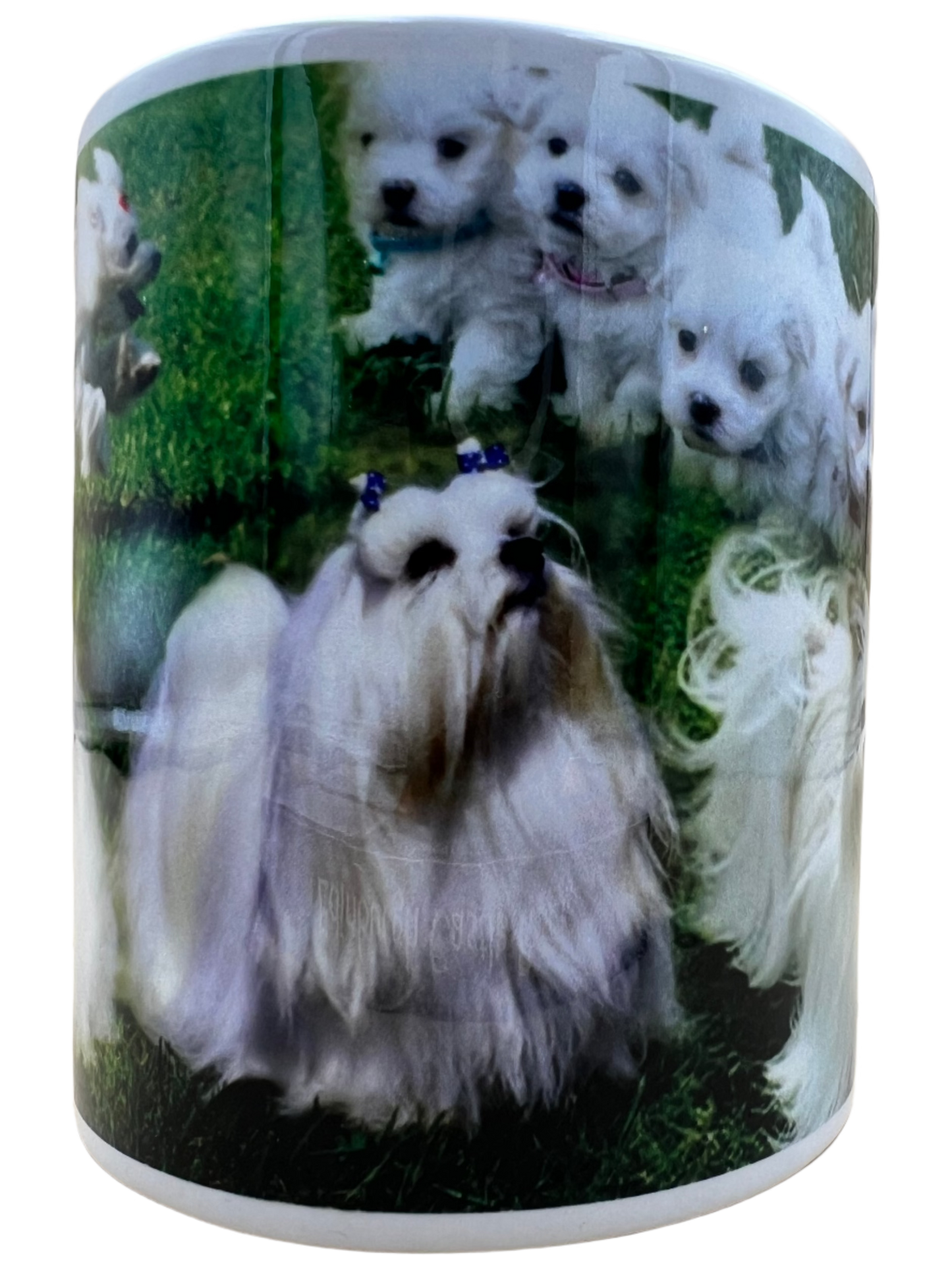 Dog Mug - Maltese