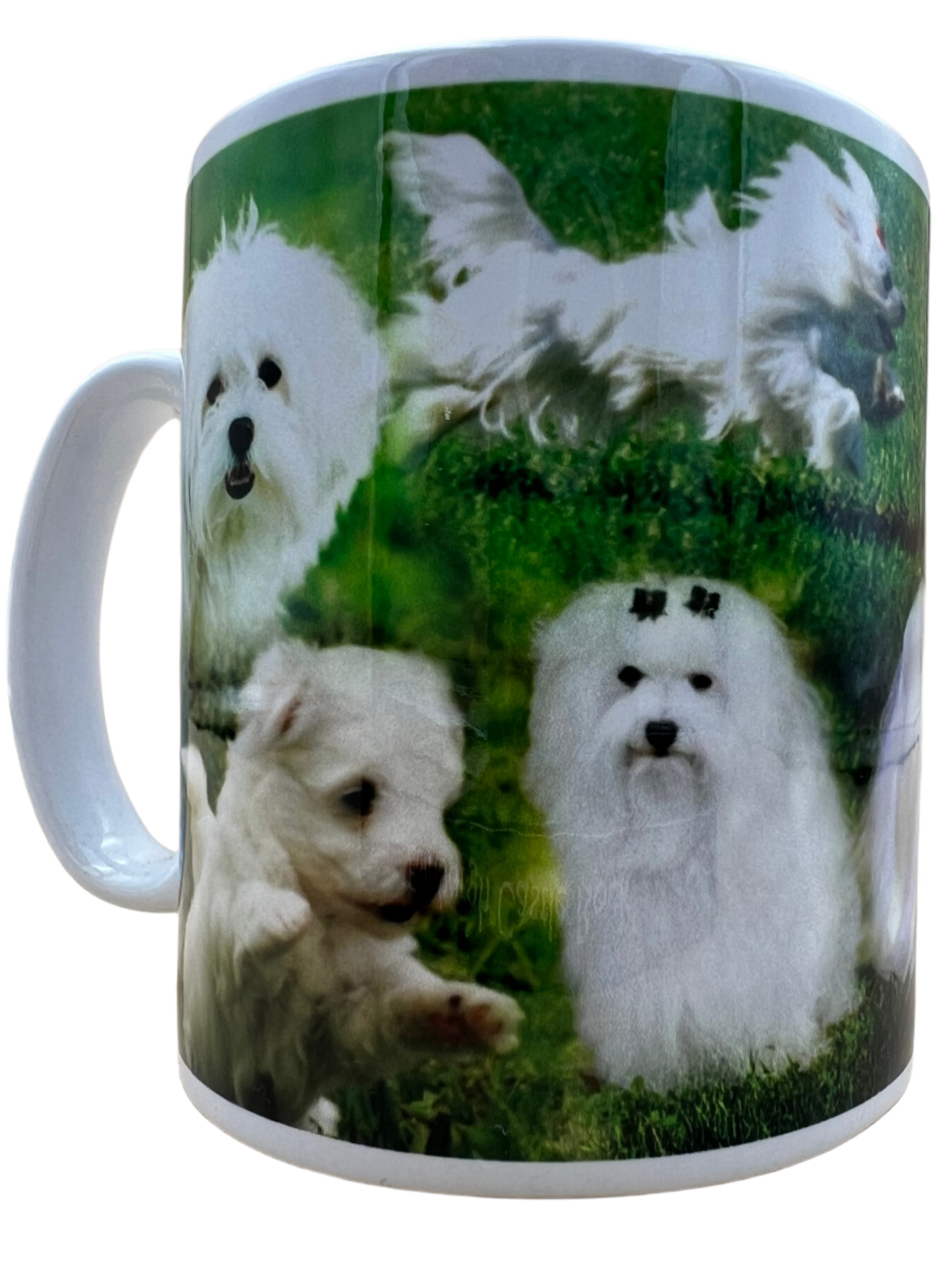 Dog Mug - Maltese