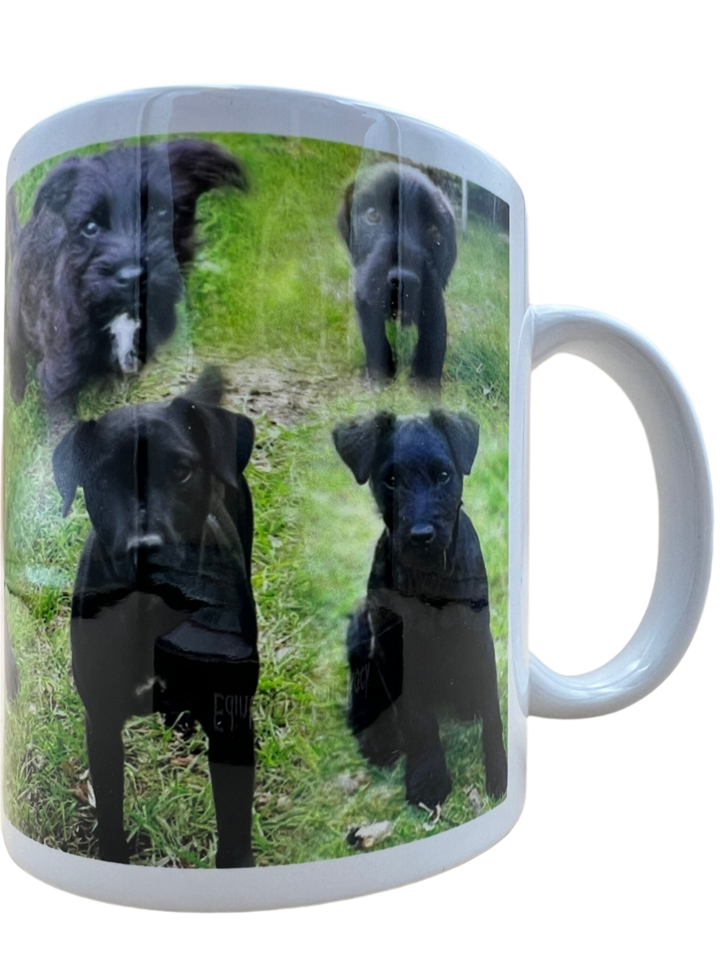 Dog Mug - Patterdale Terrier