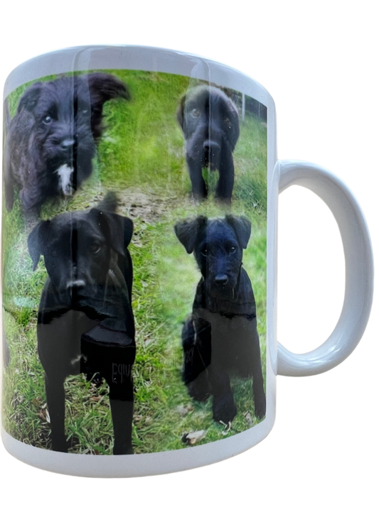 Dog Mug - Patterdale Terrier