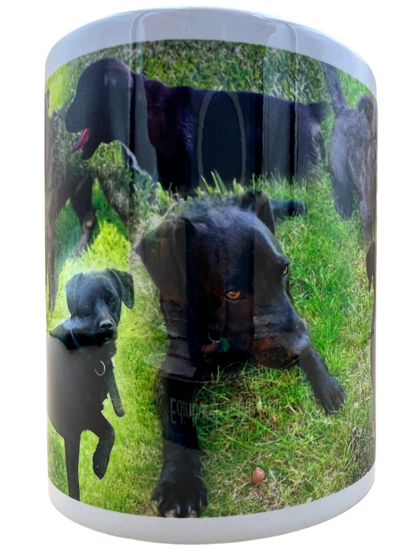 Dog Mug - Patterdale Terrier