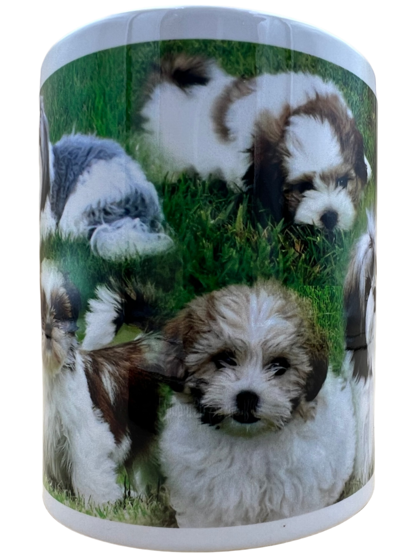 Dog Mug - Shih Tzu