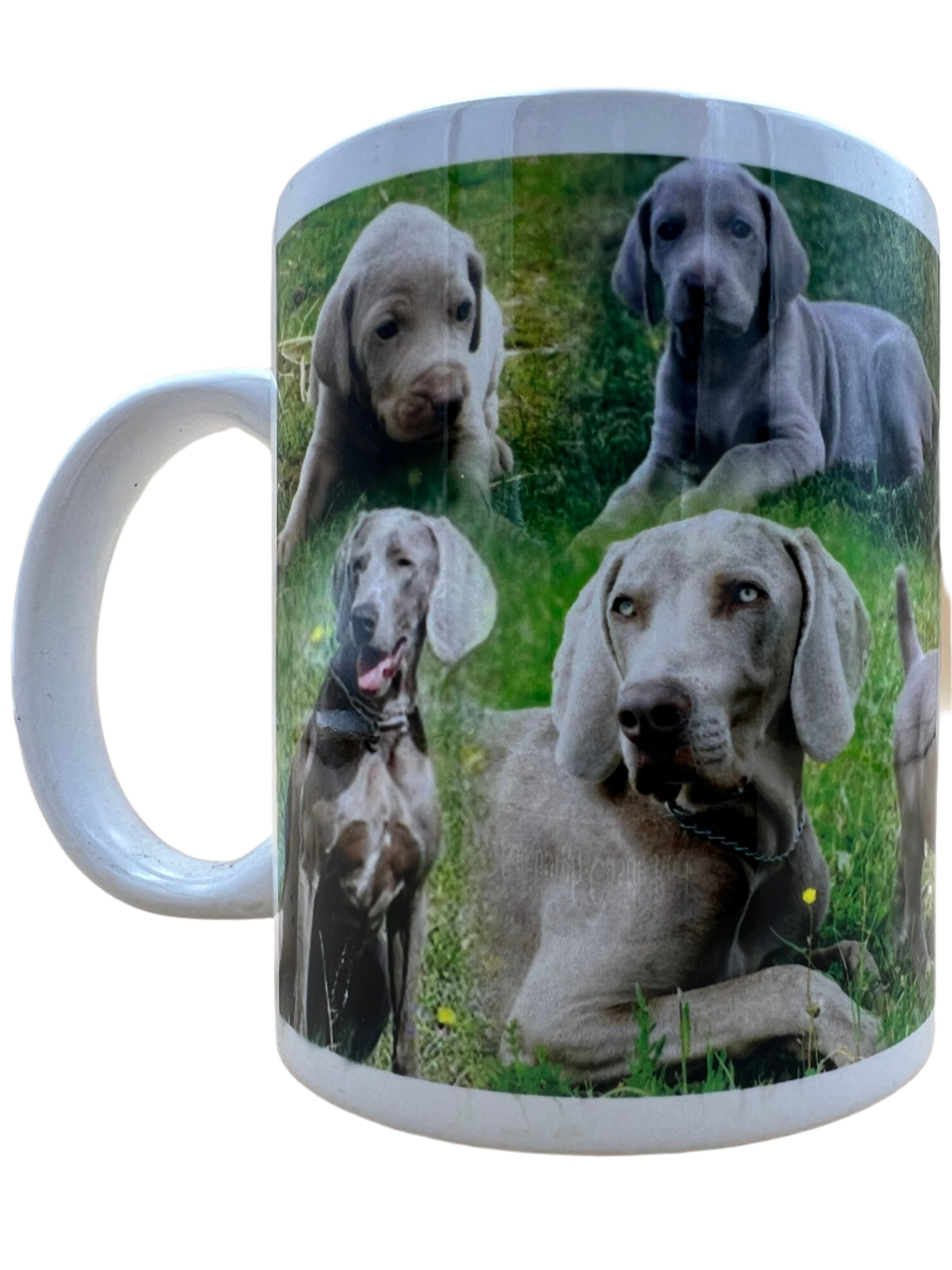 Dog Mug - Wiemaraner