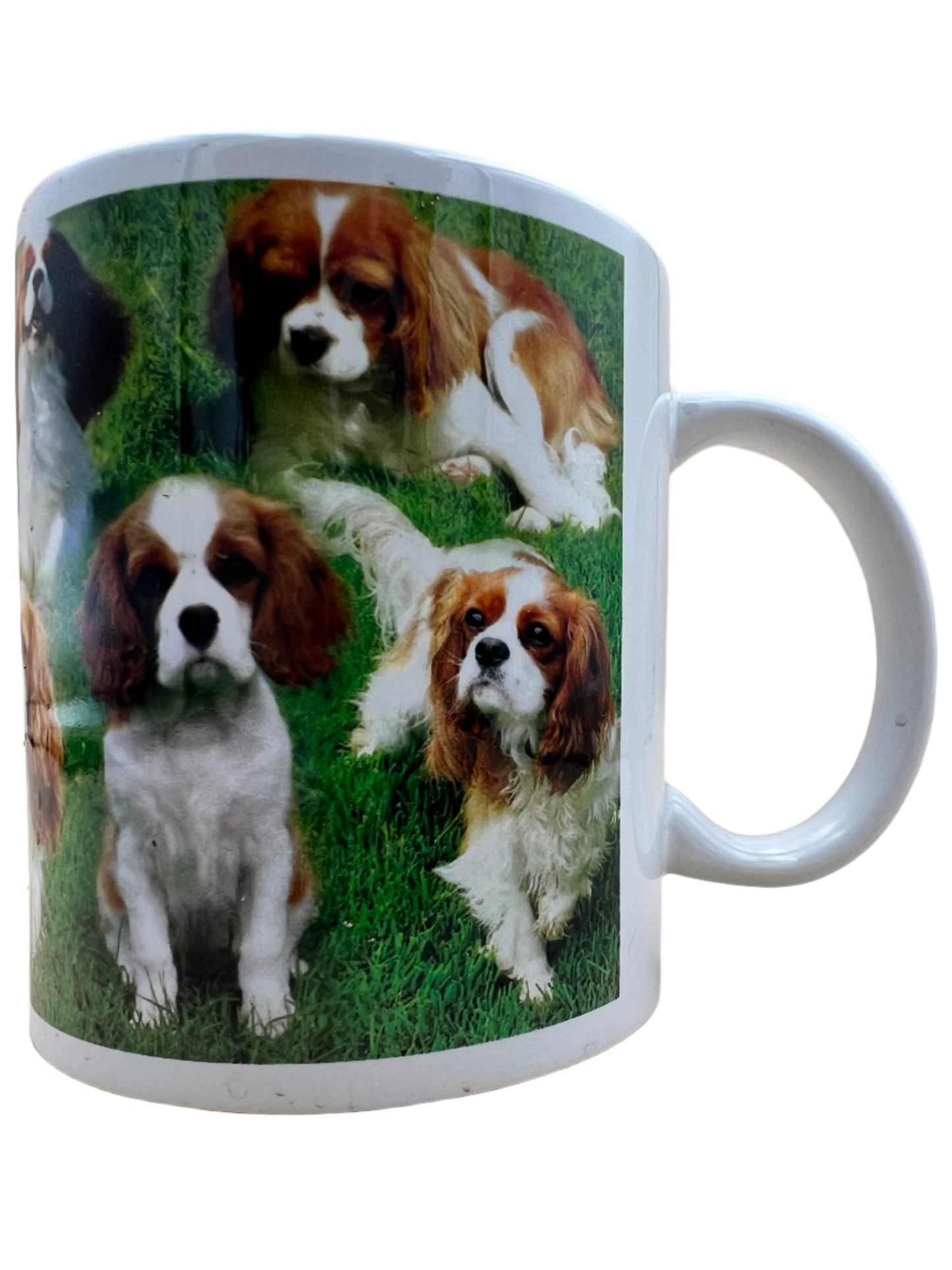 Dog Mug - King Charles Spaniel