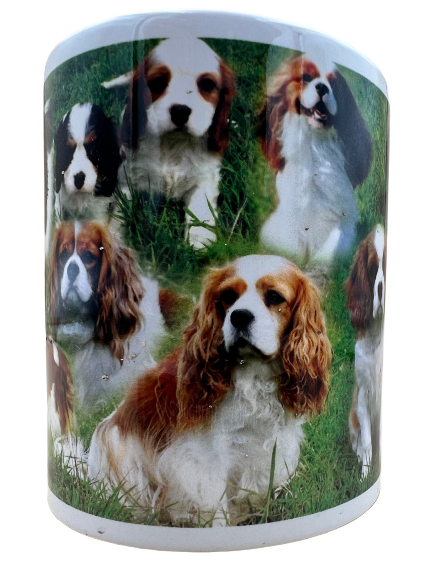 Dog Mug - King Charles Spaniel