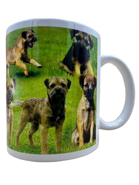 Dog Mug - Border Terrier