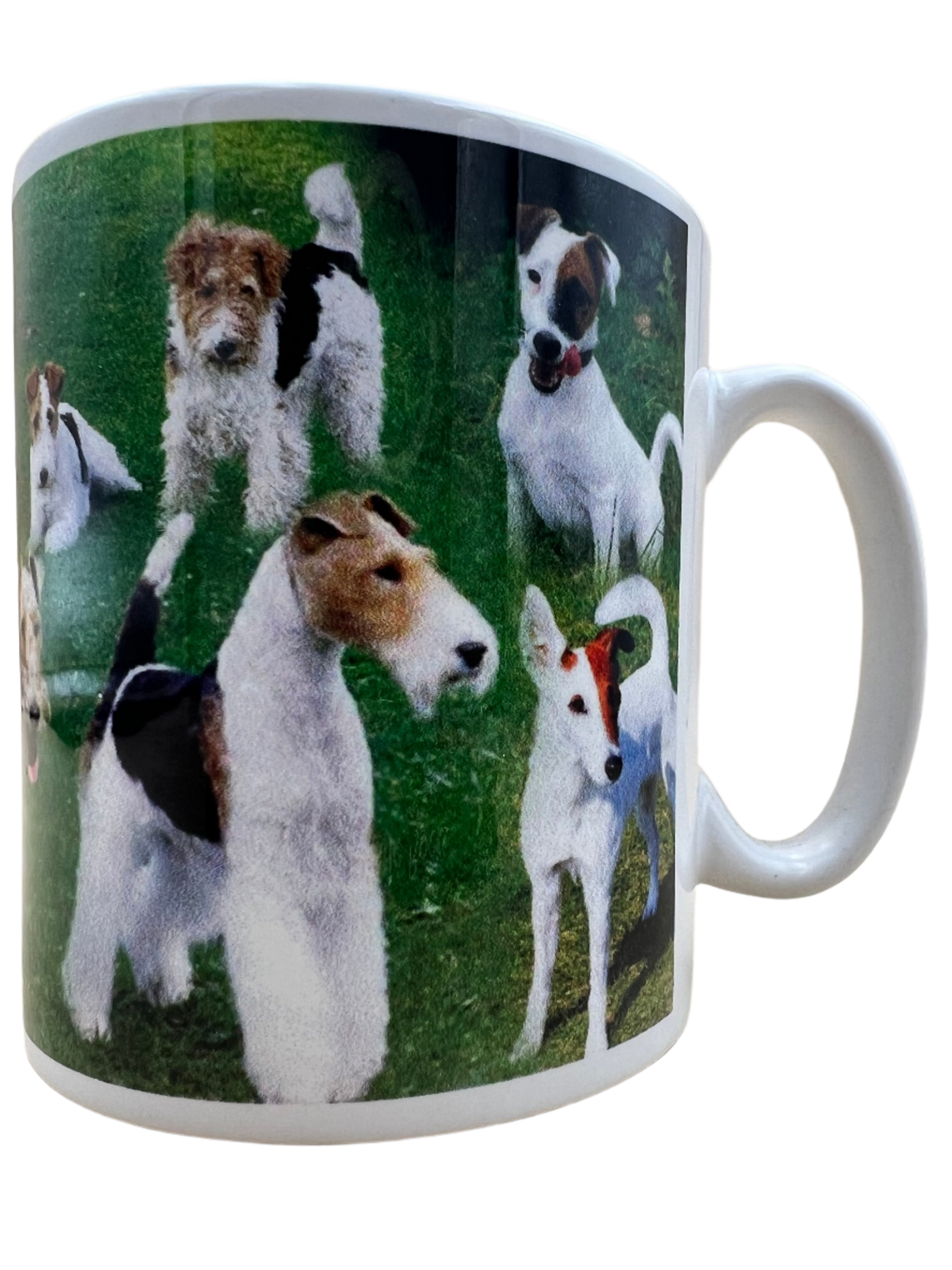 Dog Mug - Fox Terrier