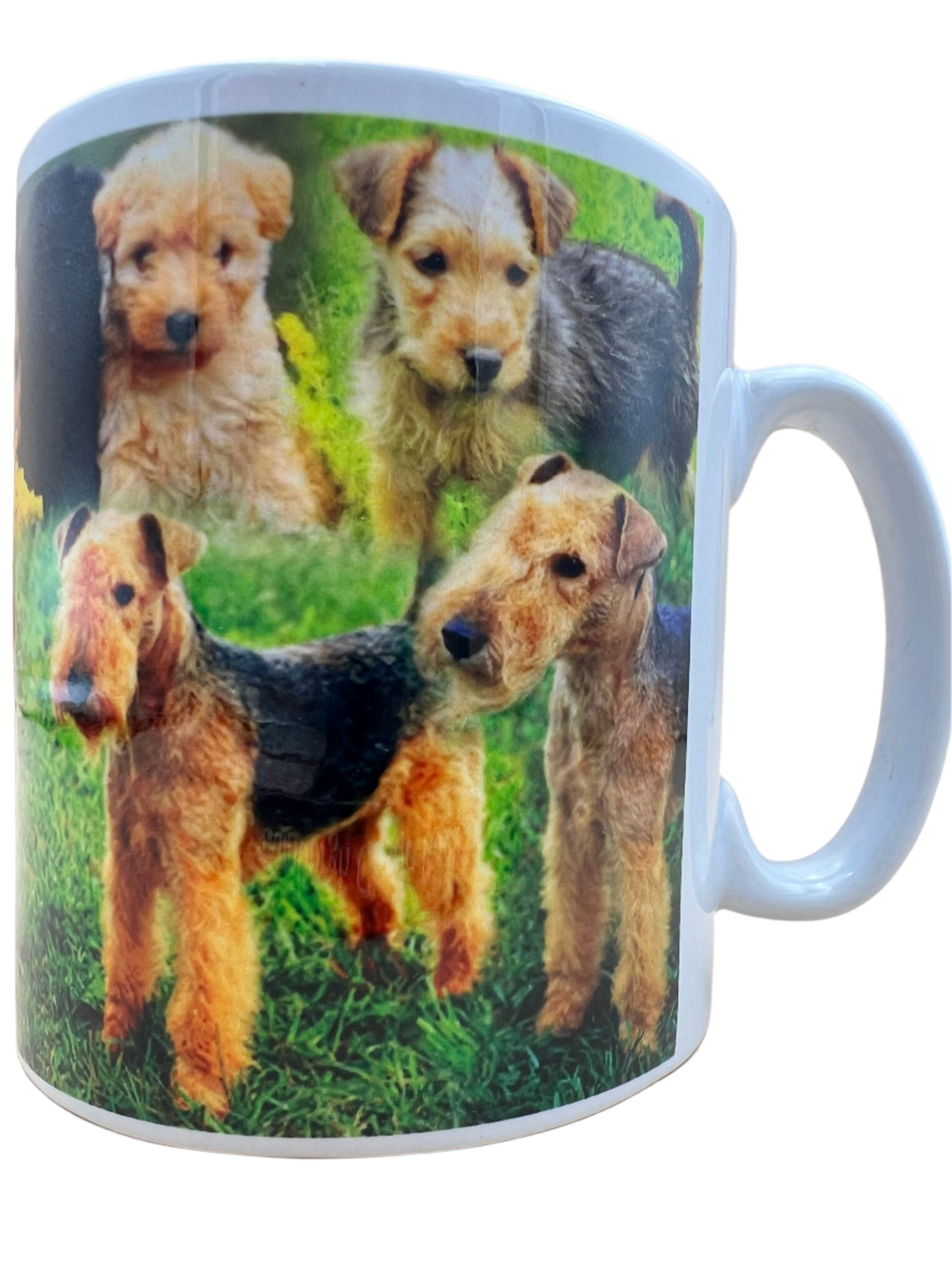 Dog Mug - Lakeland Terrier