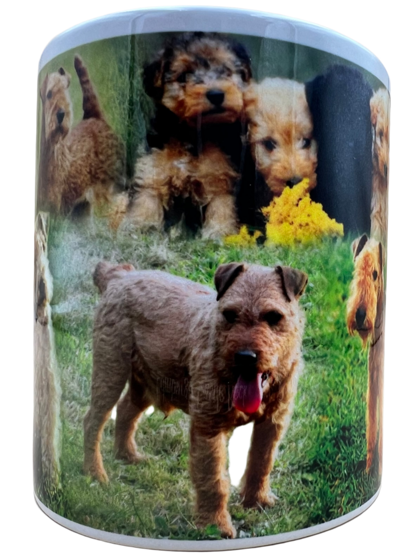 Dog Mug - Lakeland Terrier