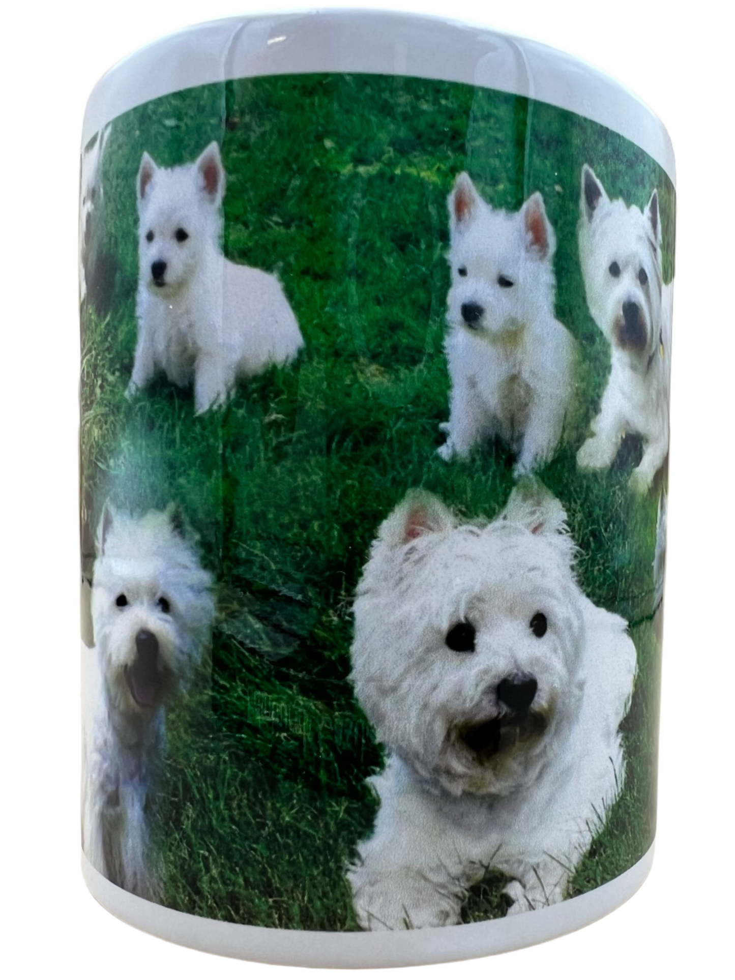 Dog Mug - West Highland Terrier