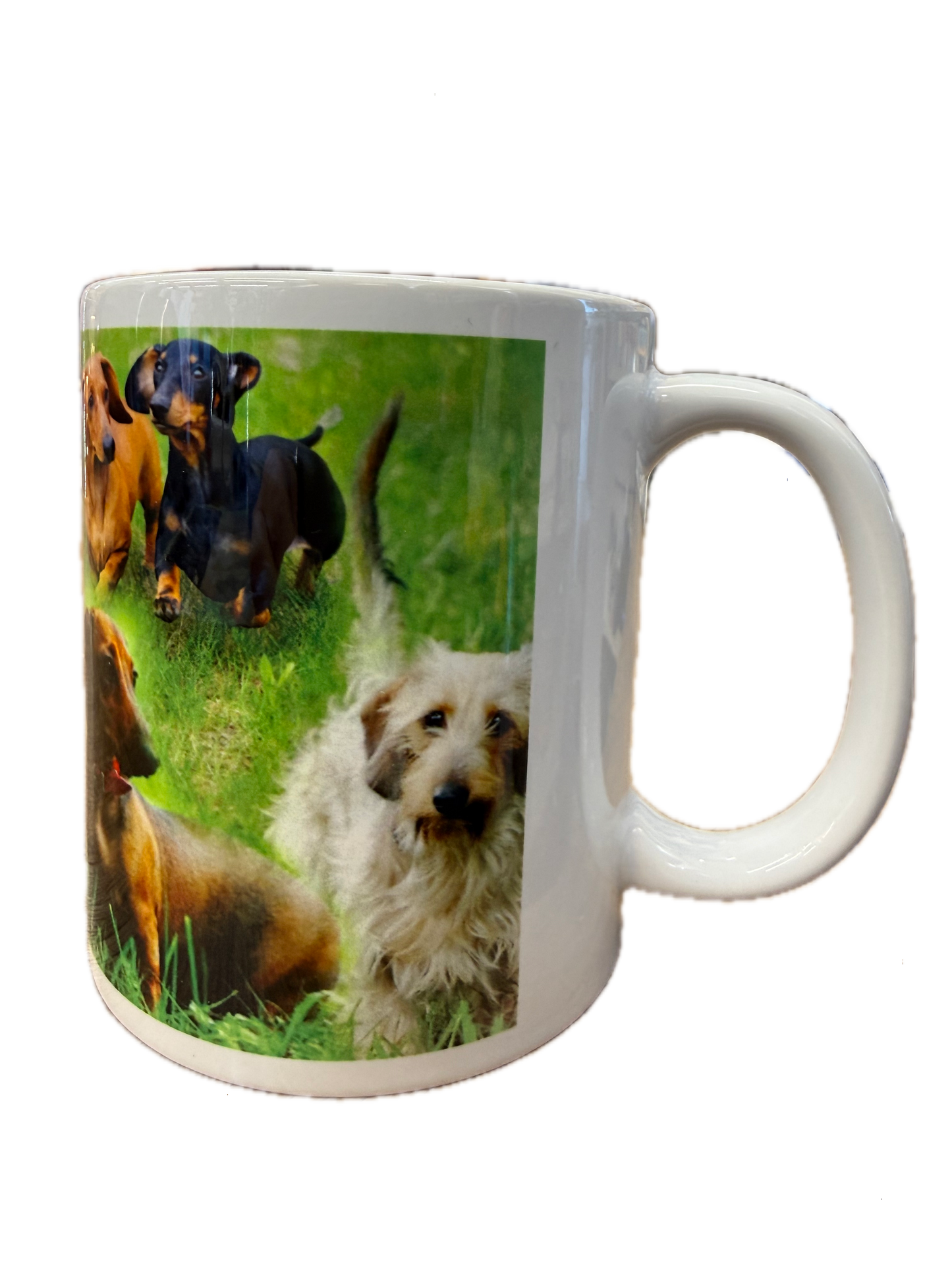 Dog Mug - Dashound