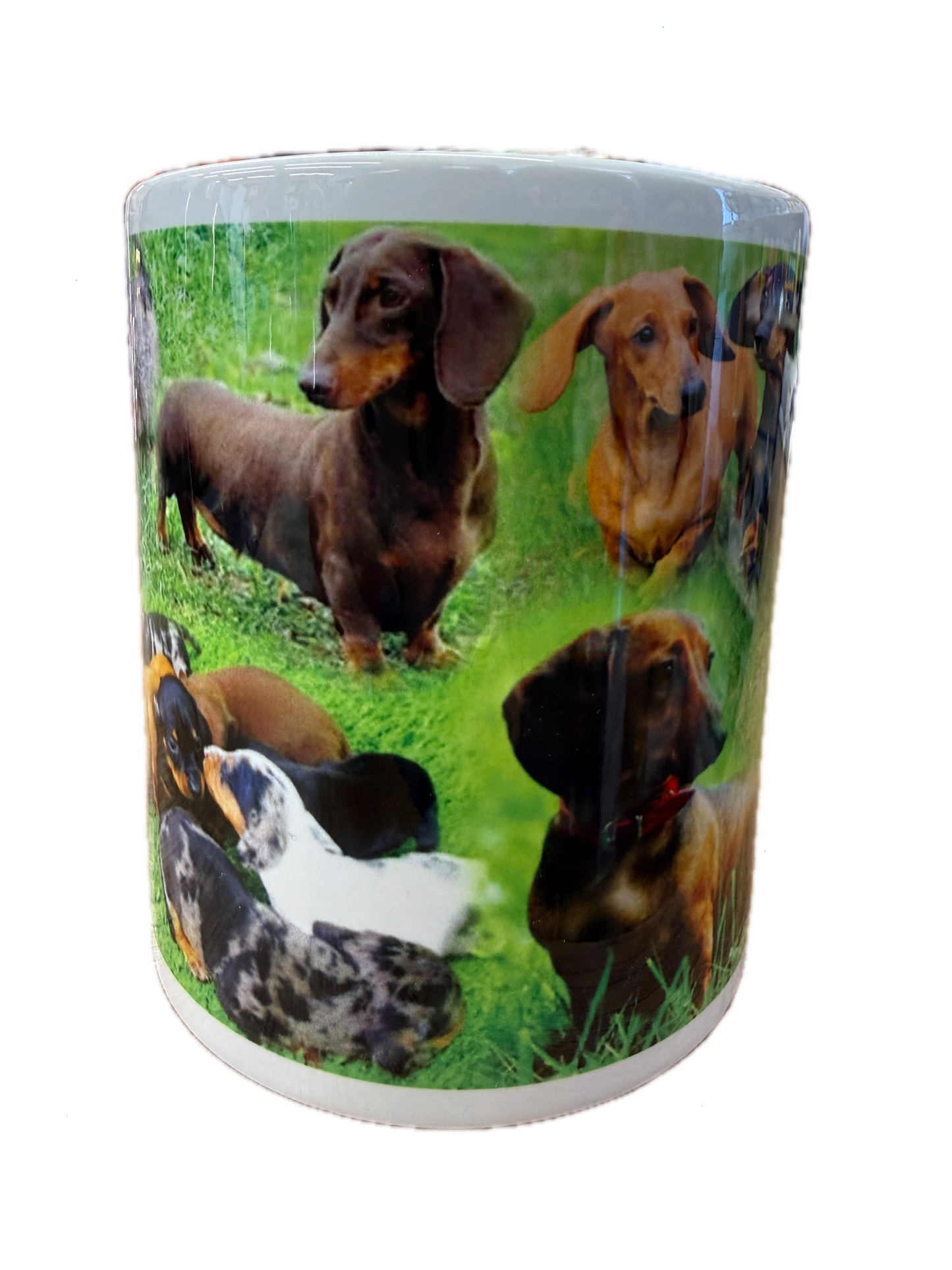 Dog Mug - Dashound