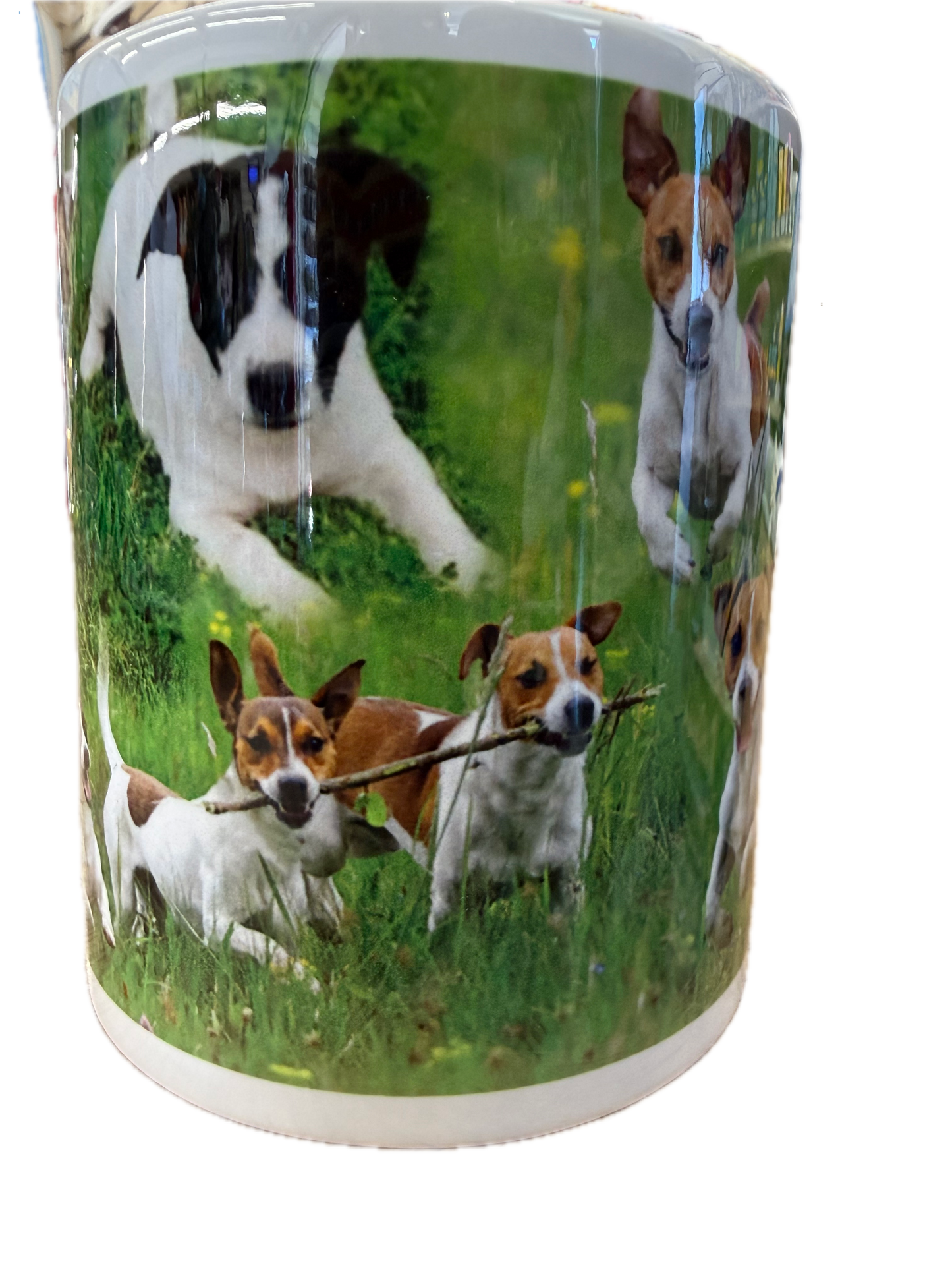 Dog Mug - Jack Russell