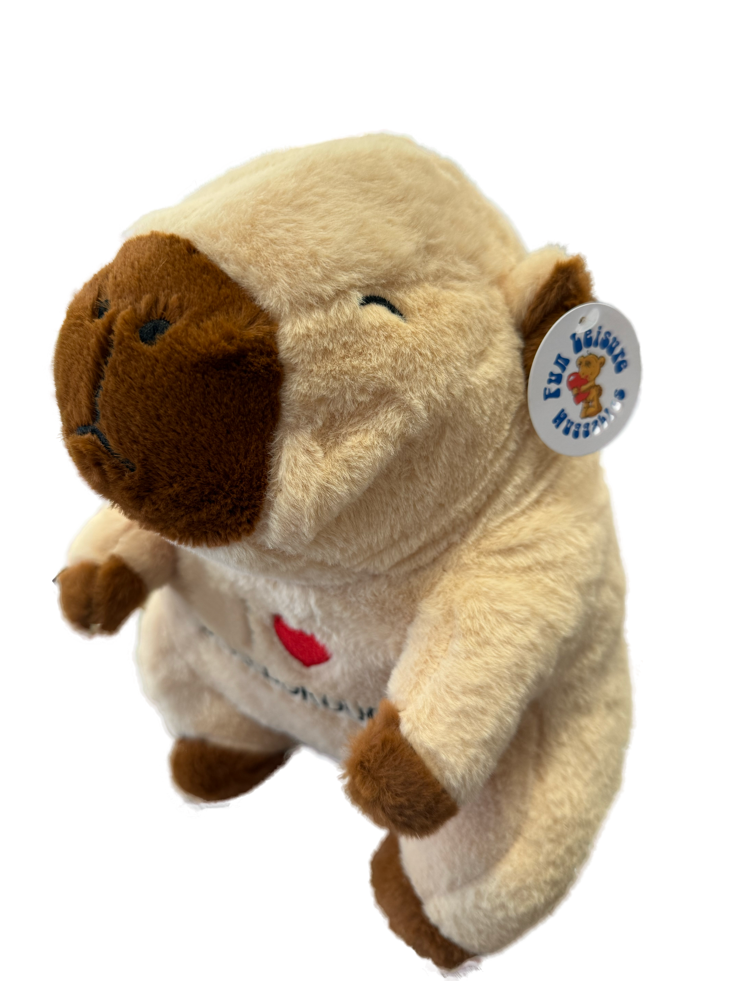 Plush Capybara 30cm (I Love Scarborough Embroidered)