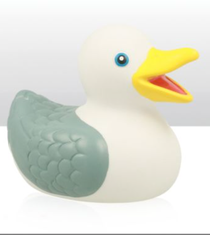 Seagull Rubber Ducky