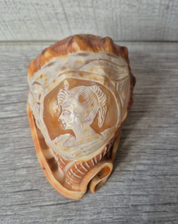 Large Cameo Shell
