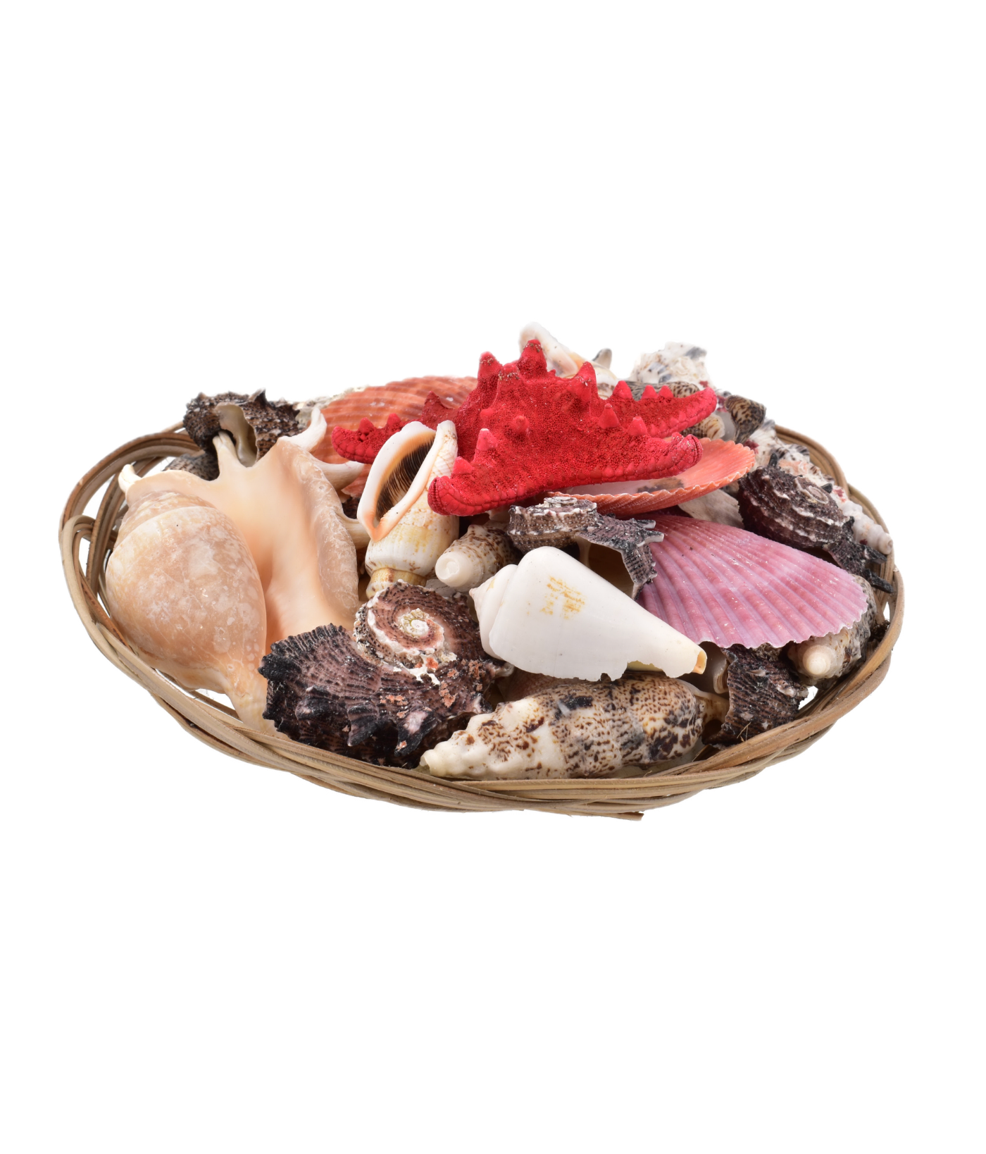 Large 8” Shell Basket