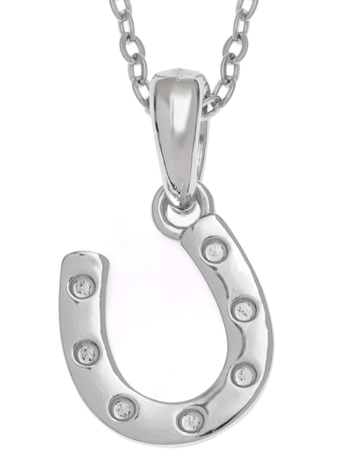 Horseshoe Necklace