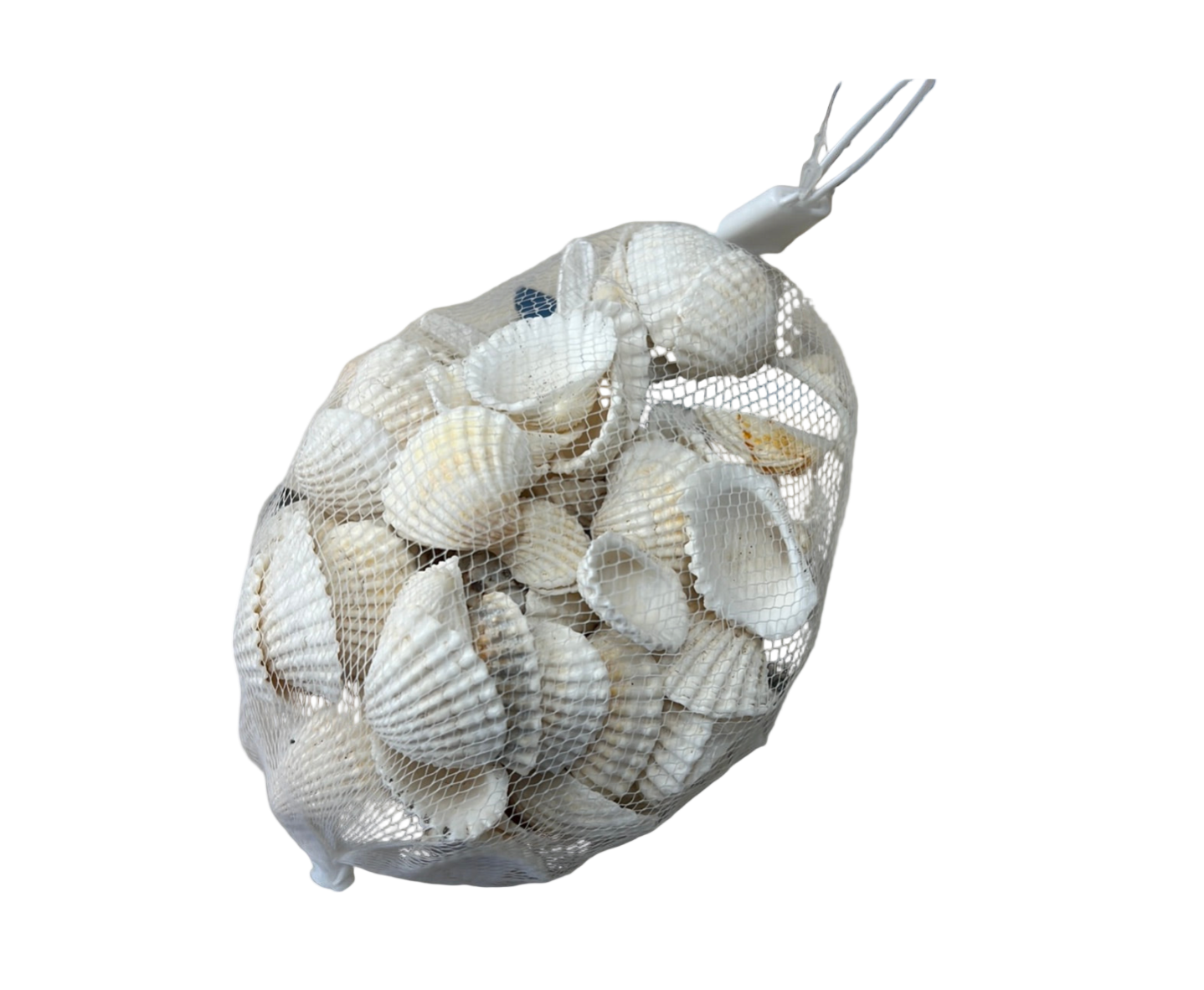 Bag of Shells