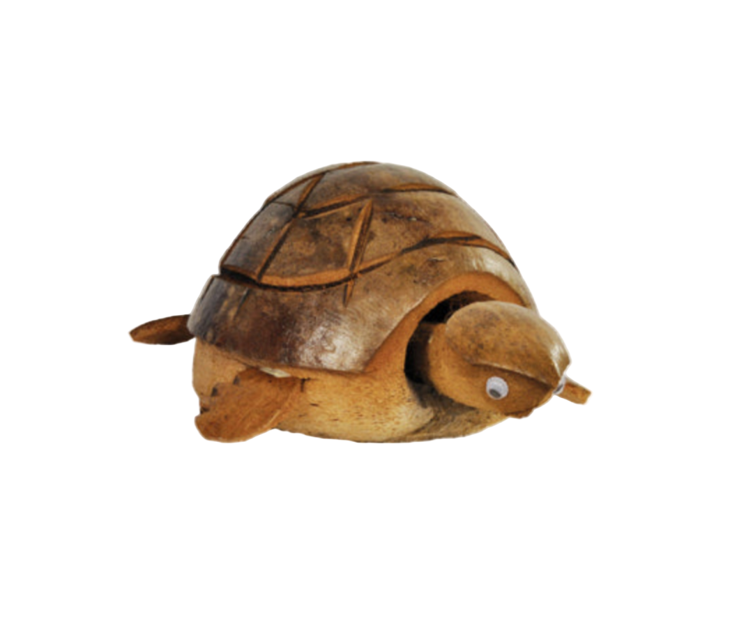 Coconut Nodding Tortoise