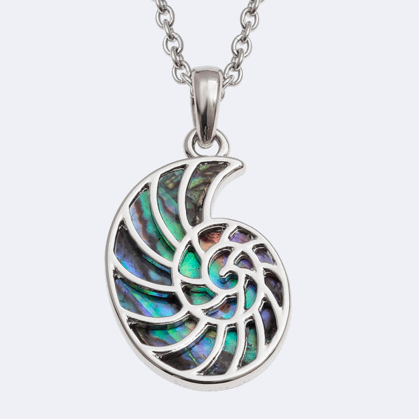 A natural Paua shell pendant in the shape of an ammonite fossil, mounted on a silver-colored chain.