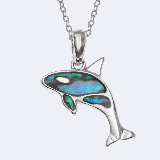 A silver-colored orca whale necklace with a natural paua shell pendant on a trace chain, presented in a box.