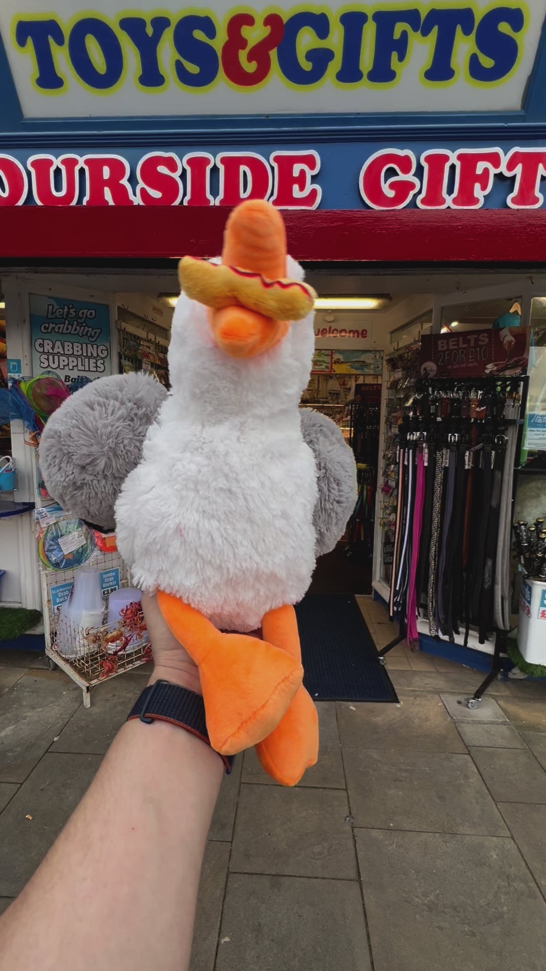 Scarborough Seagull With Chip - Medium – Harbourside Gift Shop