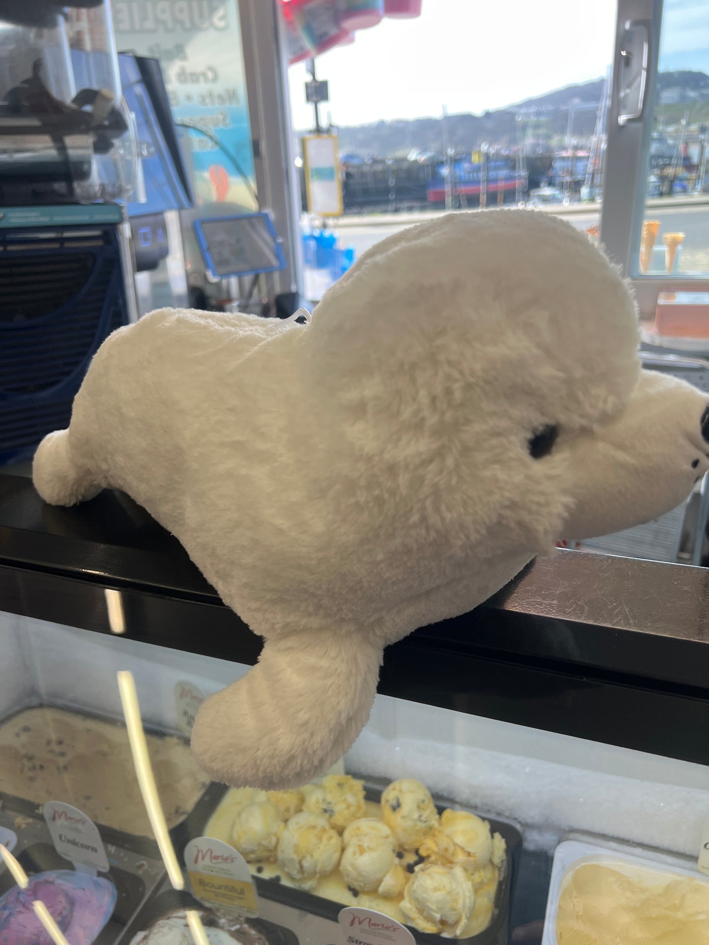 Plush Seal Medium