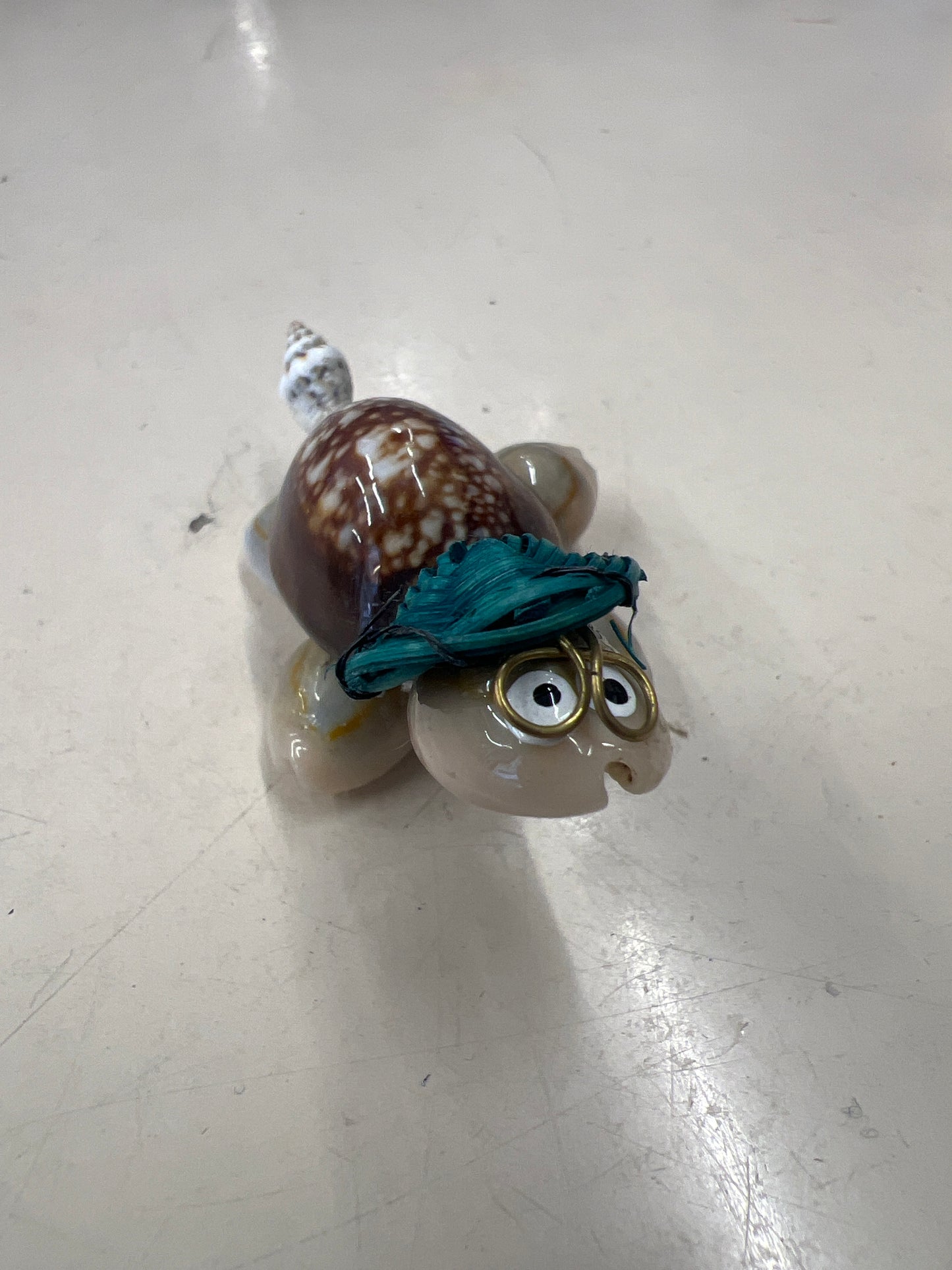 Shell mini turtle