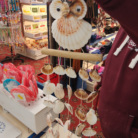 Small owl shell windchime